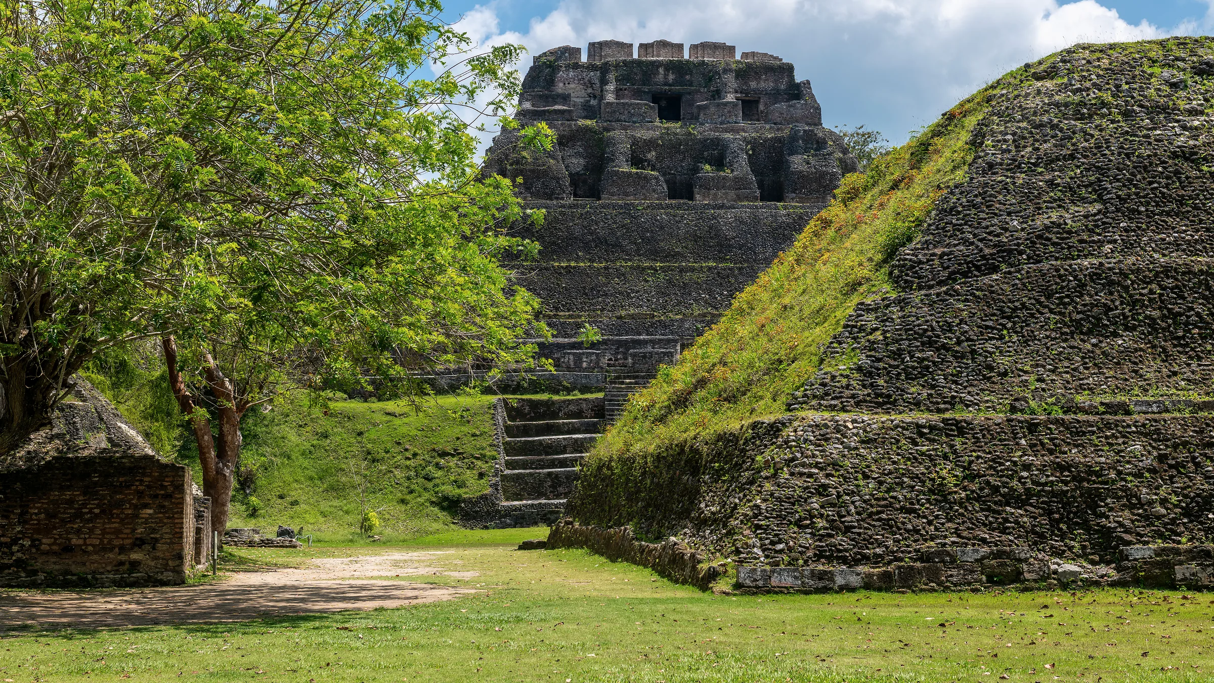 El Castillo temple at Xunantunich, among trees and grass-covered stone structures.