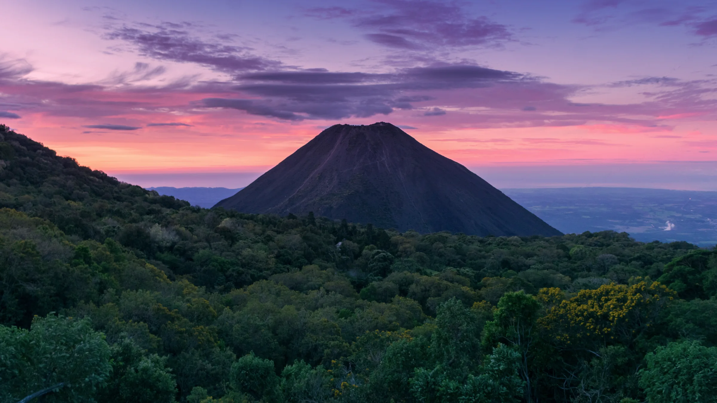 The cone of Izalco Volcano above the forest beneath a pink sky.