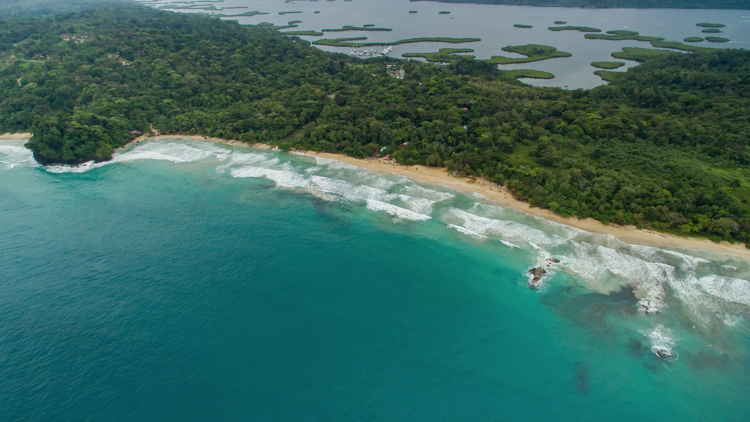 Aerial view of a sandy beach edged by rainforest on Bastimentos.