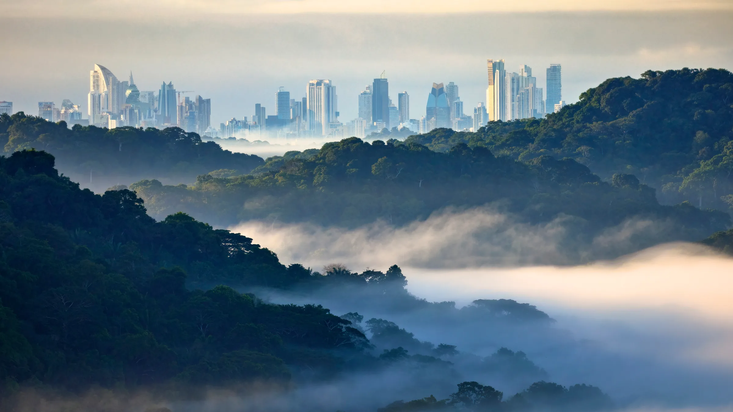 Forested hills among banks of mist with Panama City buildings in the distance.