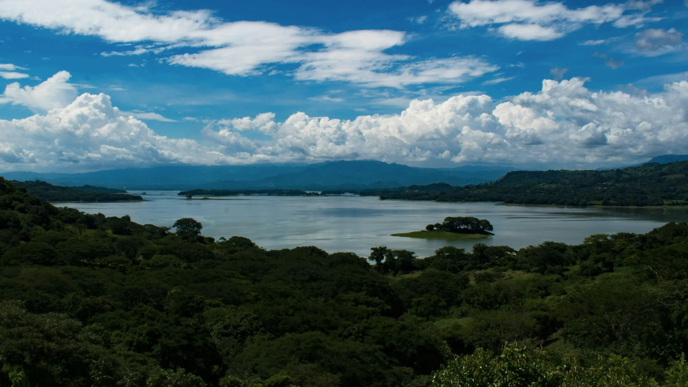 Lake with small islands and hills, seen above the vegetation.