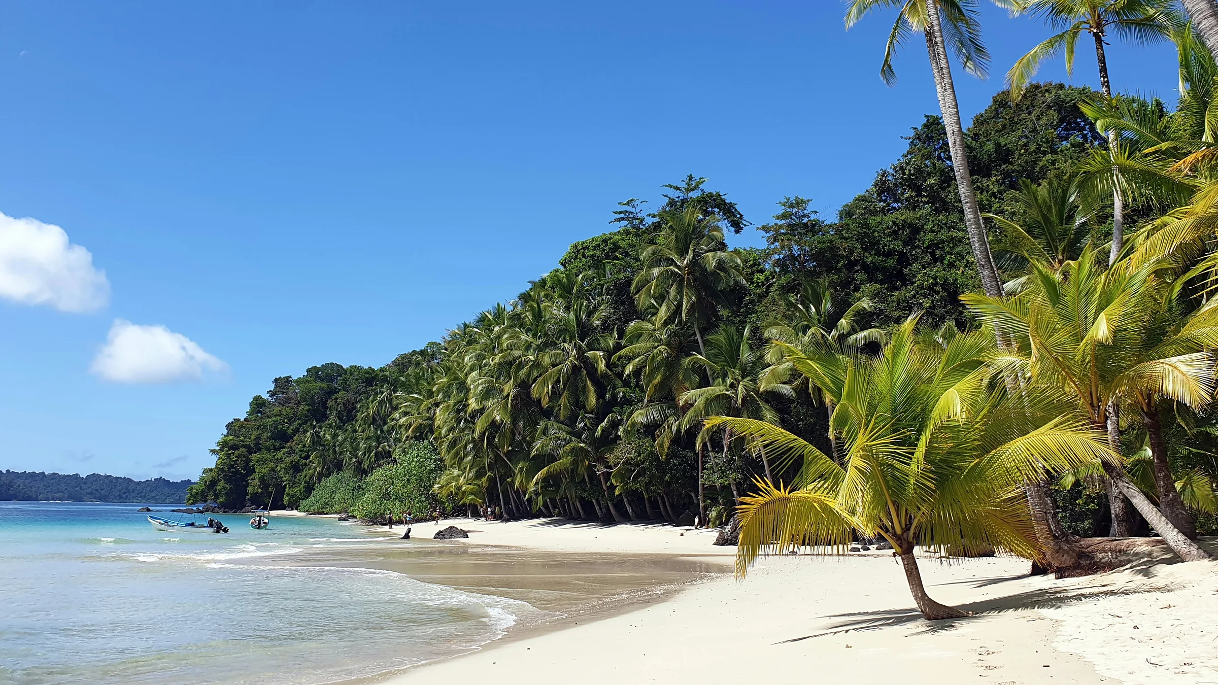 Light sandy beach with palms and vegetation beside the sea.