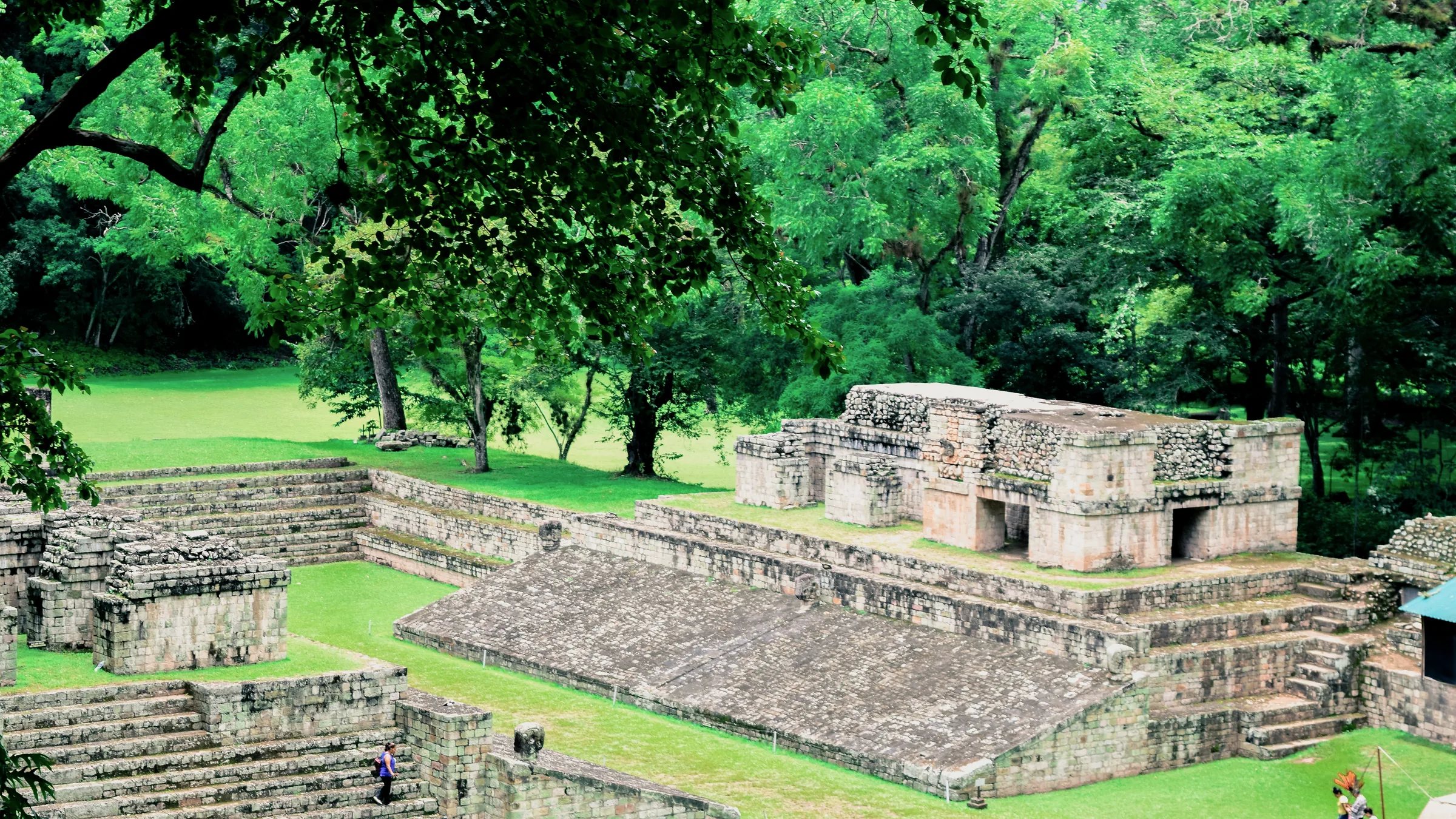 Stone walls and steps among grass and trees at Copán.