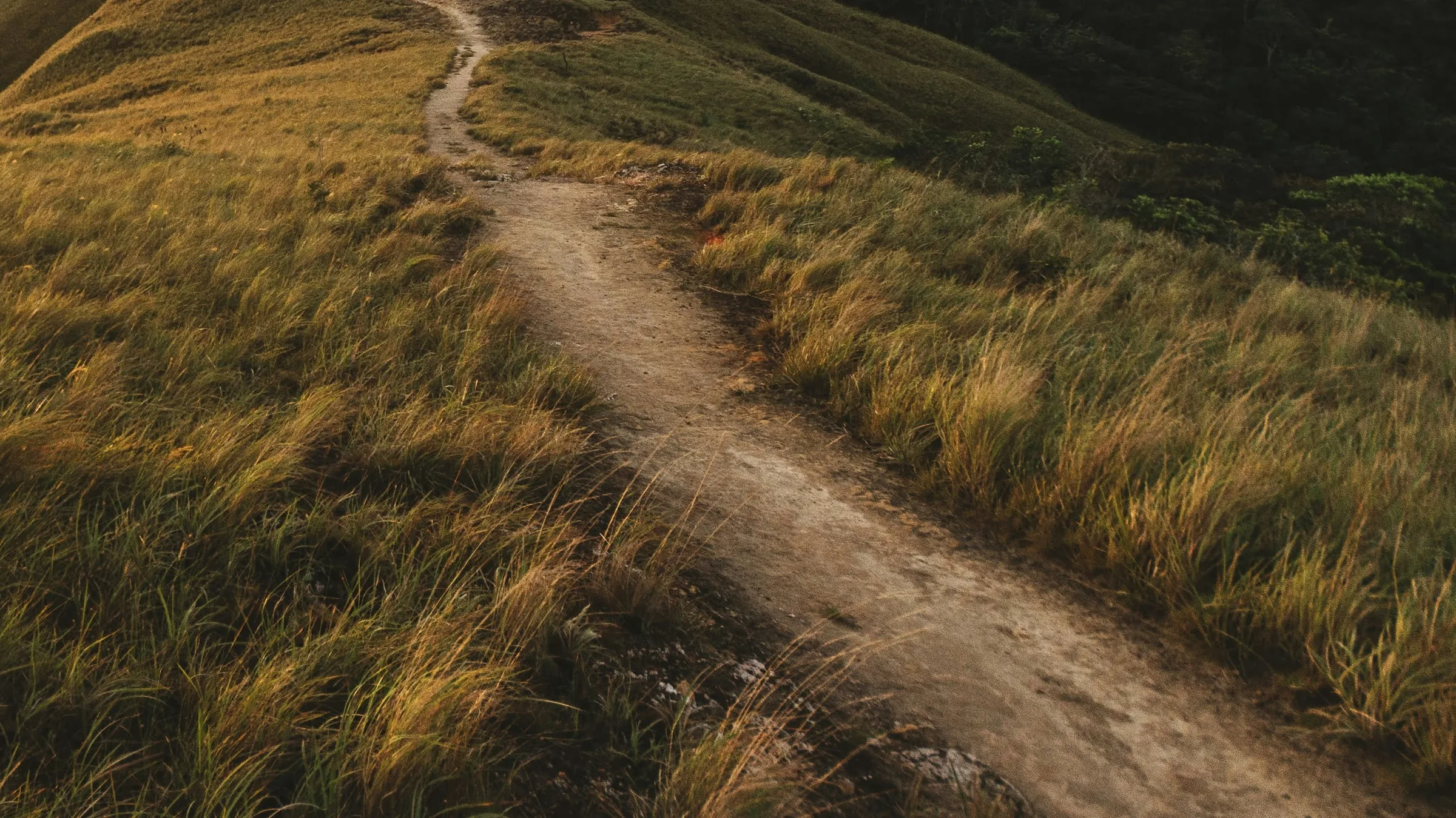 Path through tall grass on a hillside at El Valle de Antón.