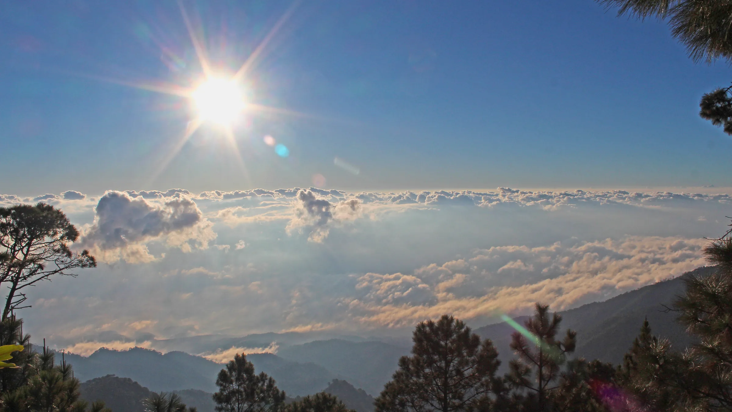 Sun above a sea of clouds, with silhouettes of mountains and trees.