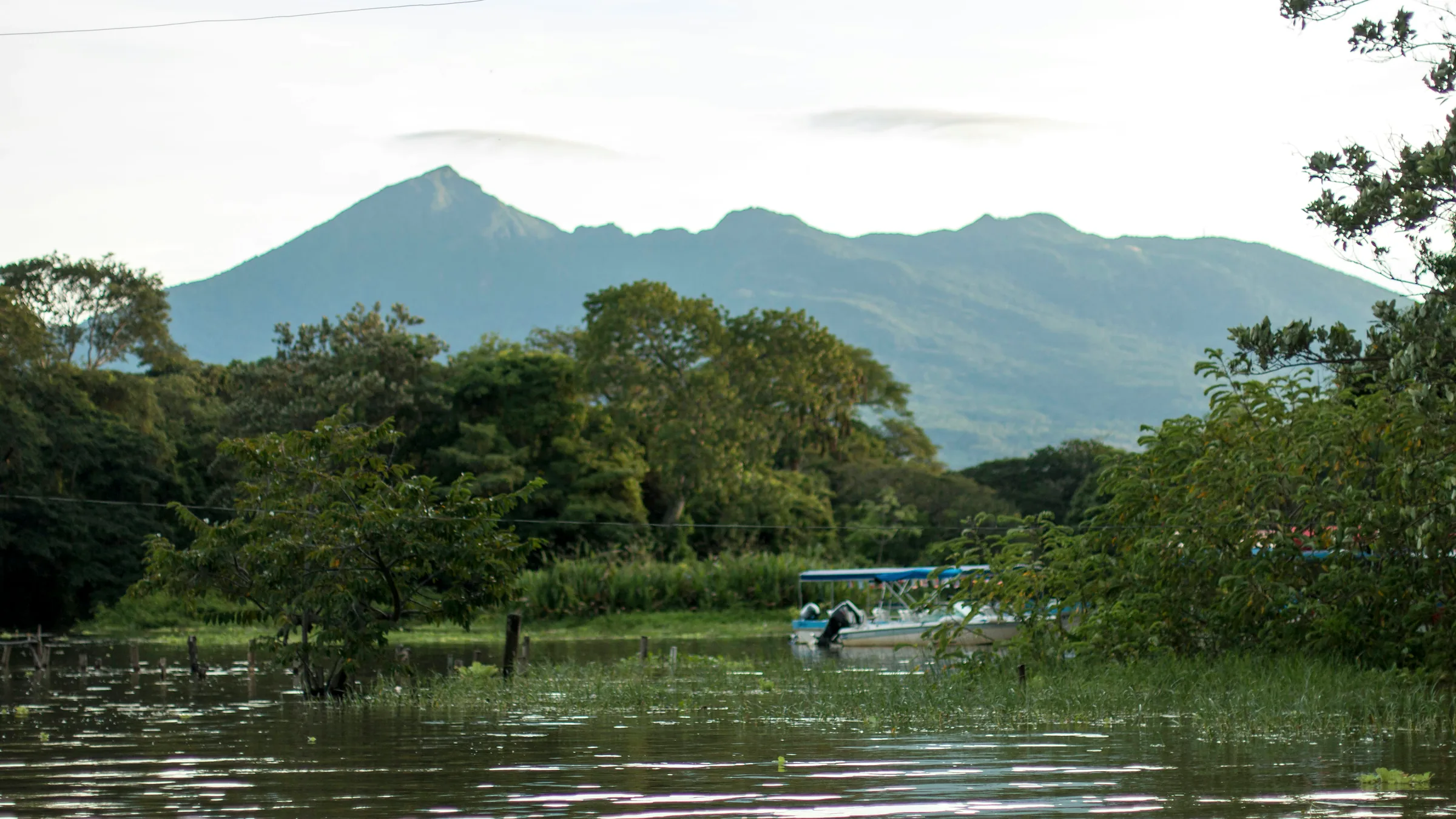 Water and lakeside vegetation with Mombacho Volcano in the background.