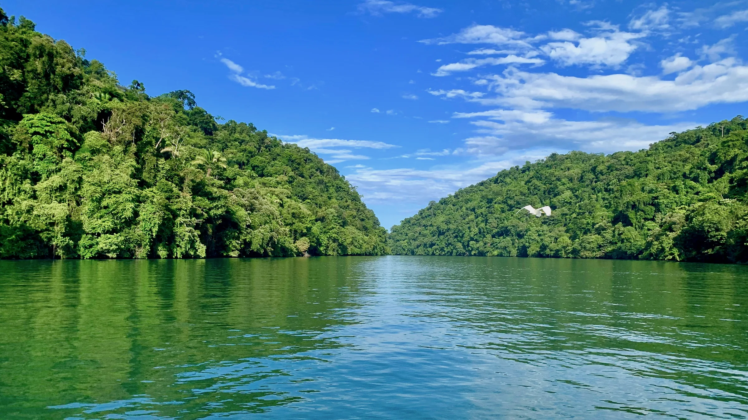 River between two forest-covered slopes in Río Dulce.