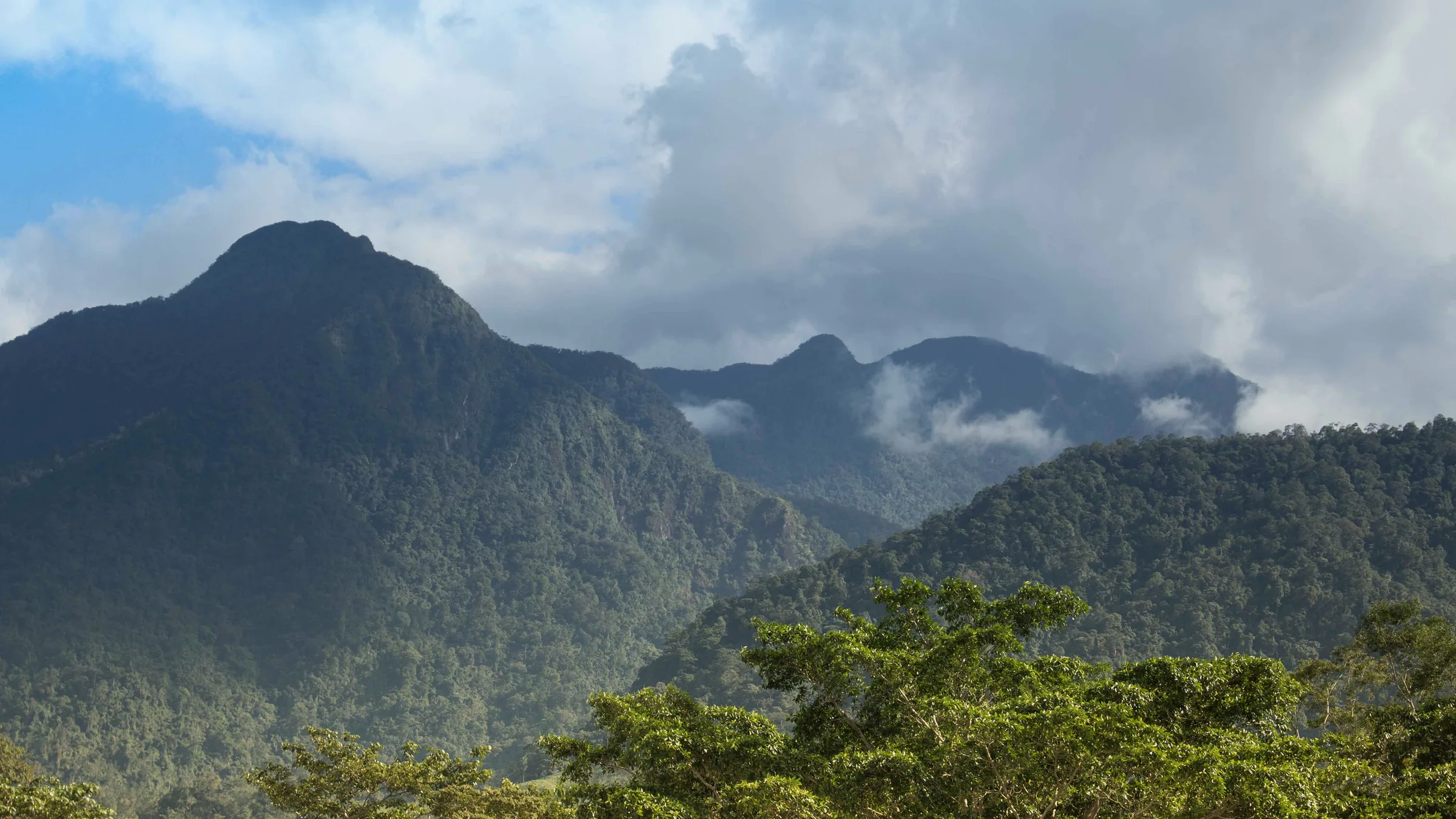 Forested mountains partly covered by clouds in Pico Bonito.