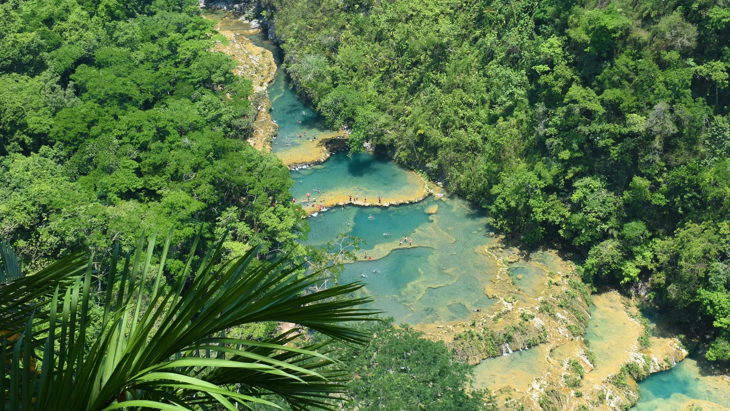 Terraced turquoise pools among dense forest at Semuc Champey.