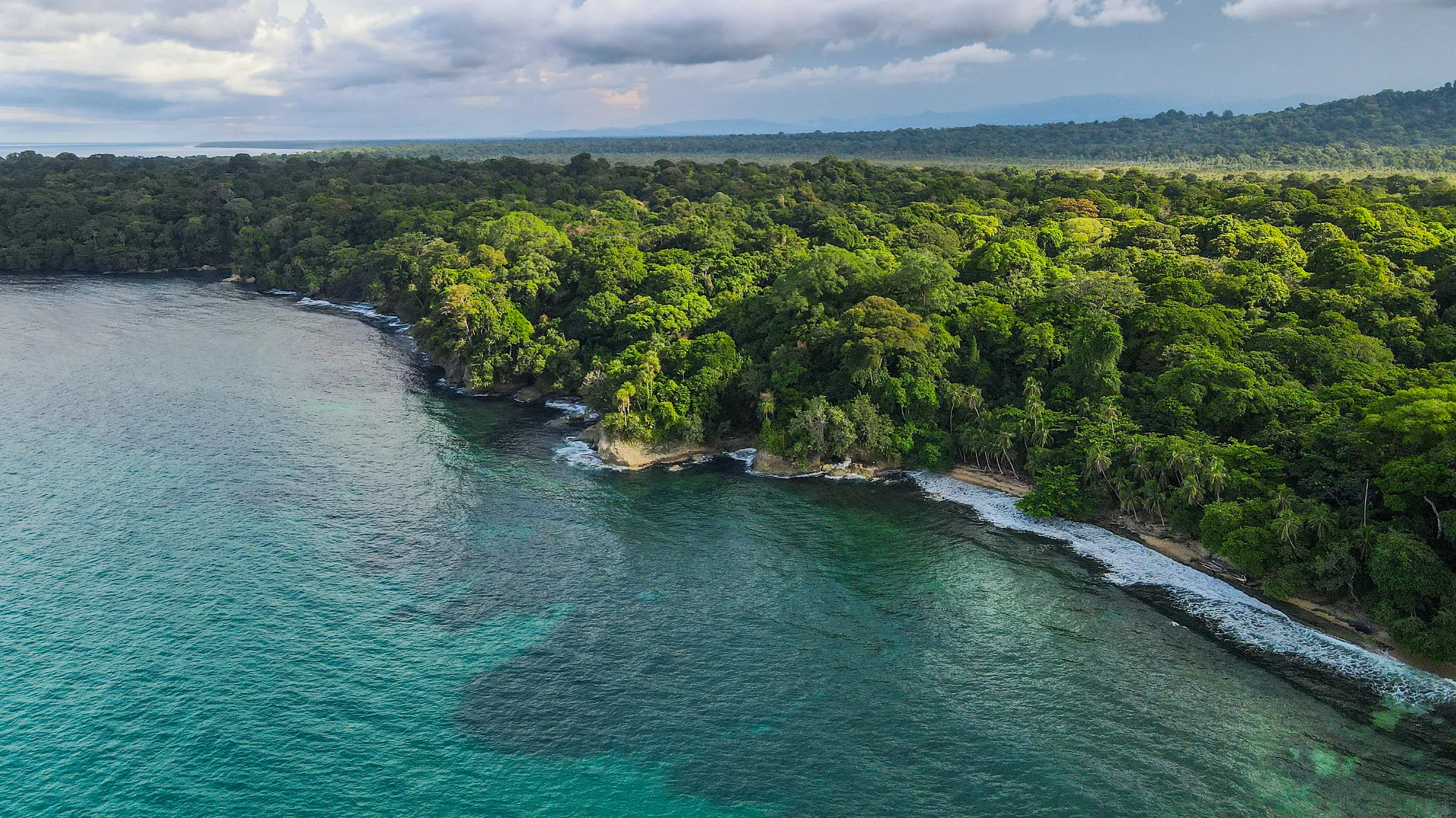 Aerial view of a forested coastline beside turquoise waters.