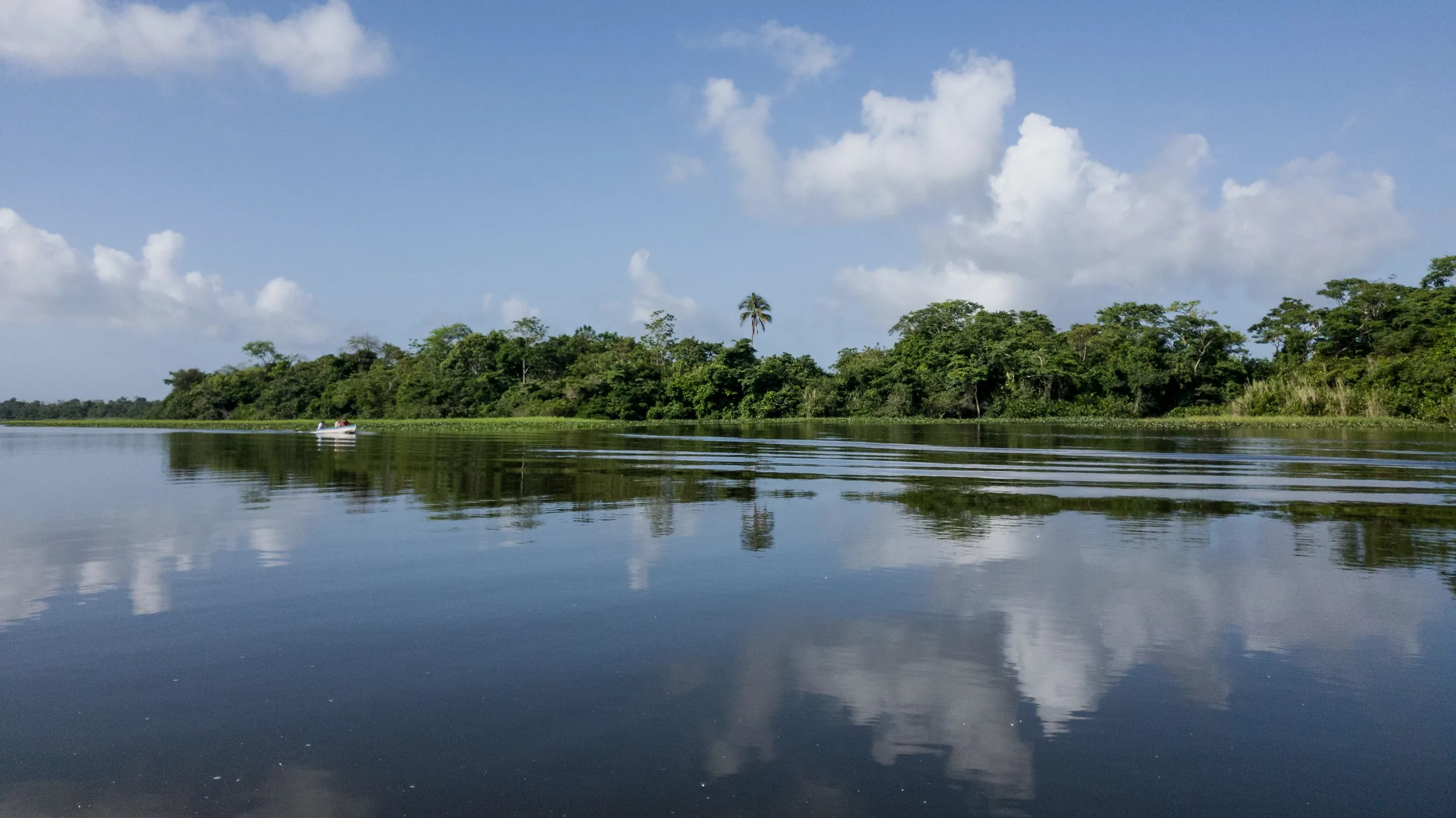 Calm river reflecting clouds and riverside vegetation.