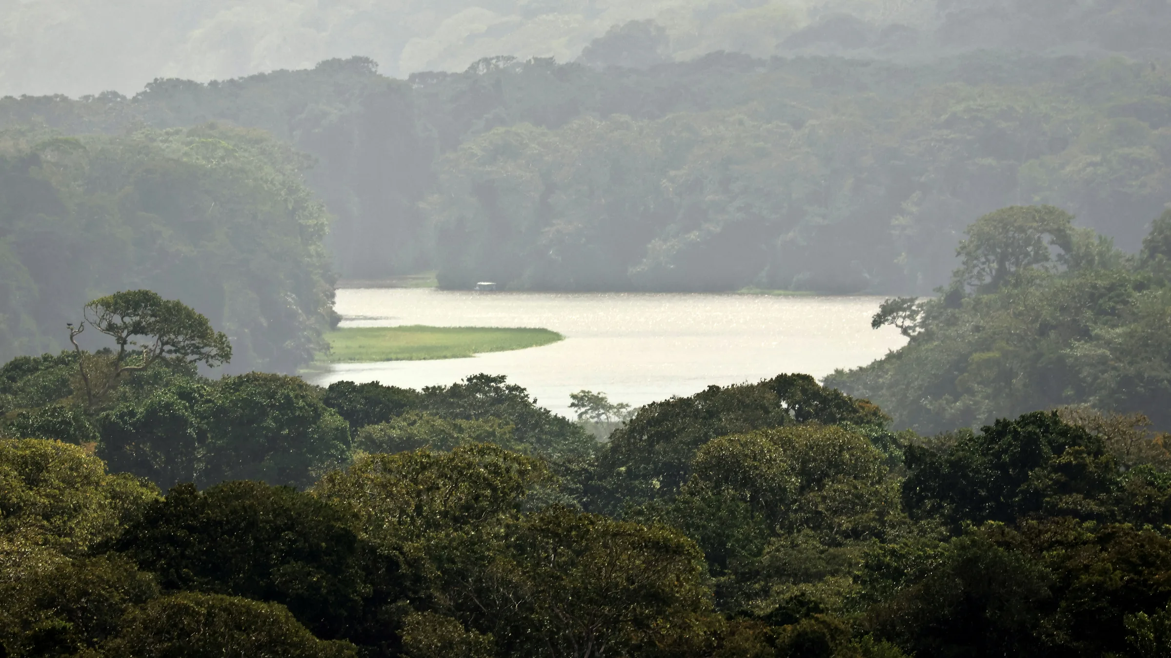 Waterway among treetops and mist-covered forest.