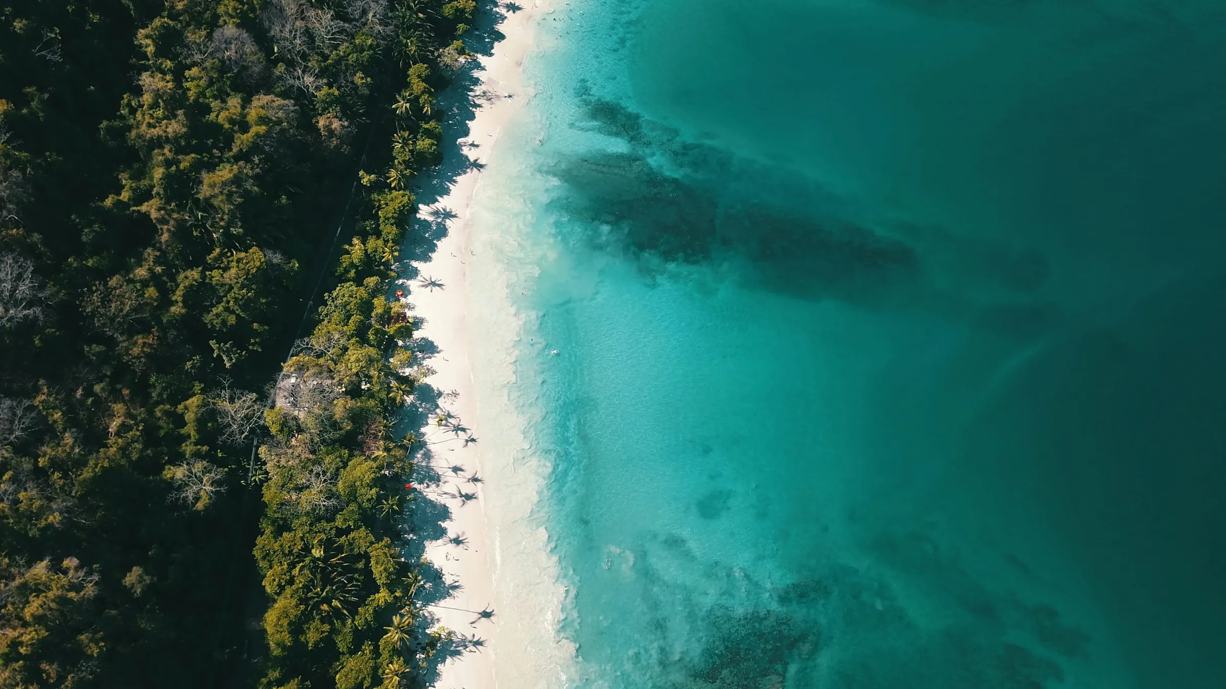 Vista aérea de Punta Leona, en Costa Rica: el bosque, una playa de arena blanca y el mar turquesa.