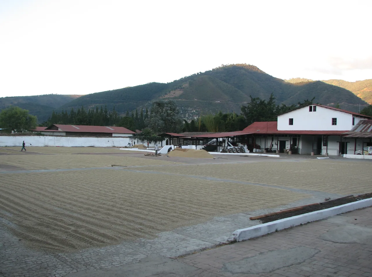 Coffee drying patio and buildings at La Azotea.
