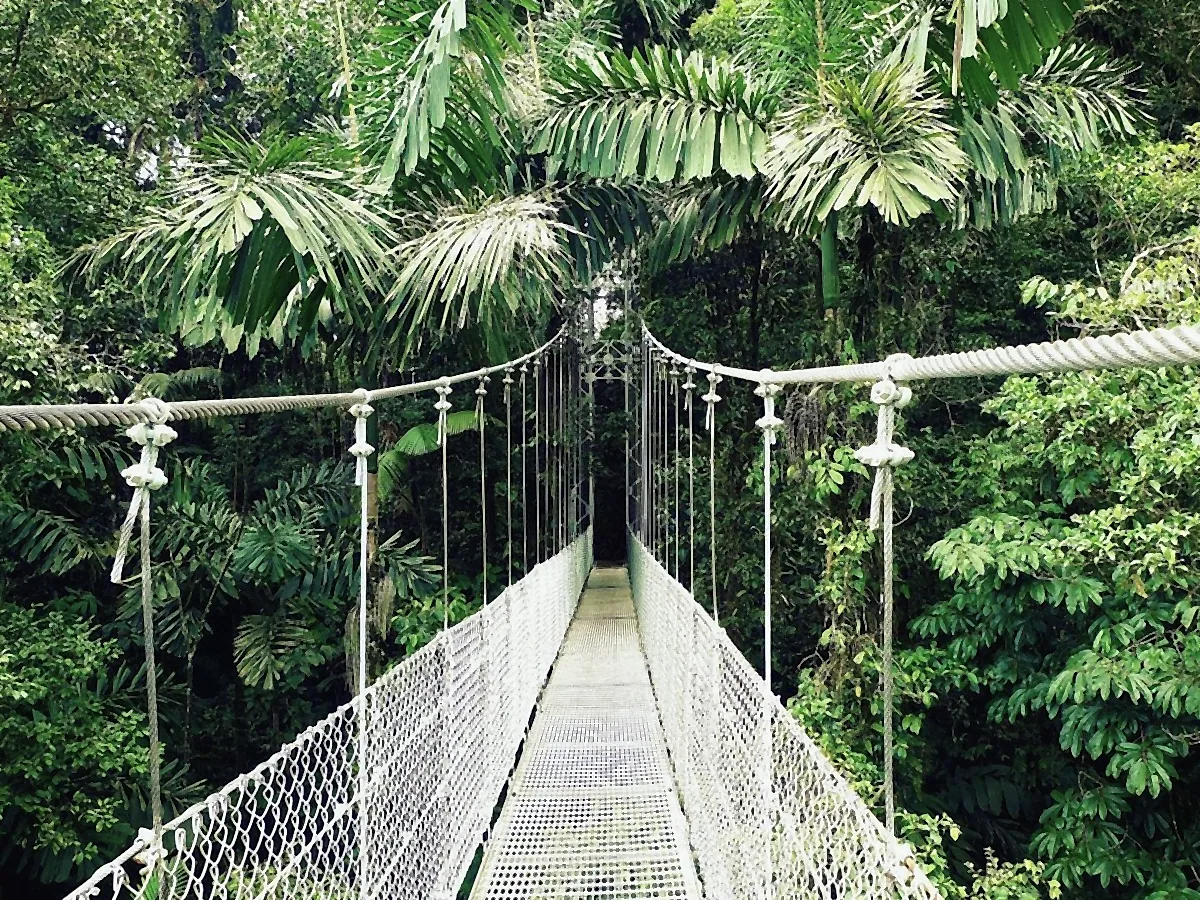Mistico Hanging Bridges