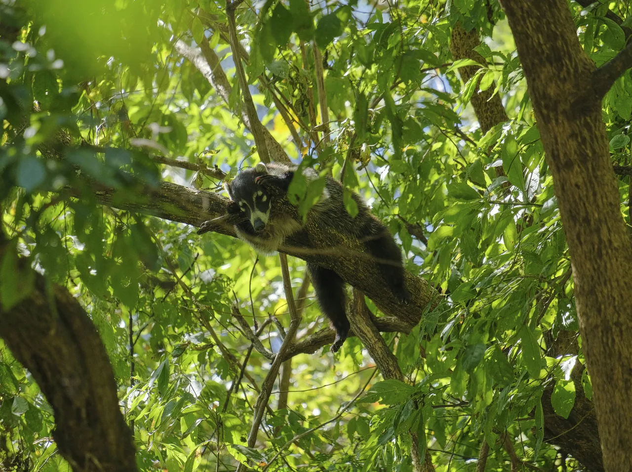 Atitlán Nature Reserve