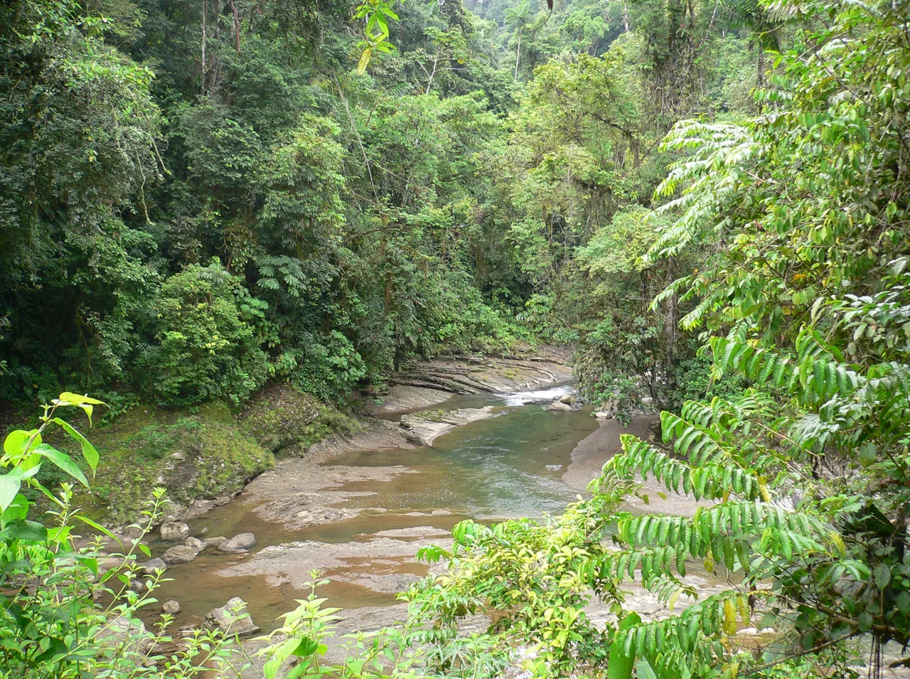 Río Dantas entre el bosque del Parque Nacional Barbilla.