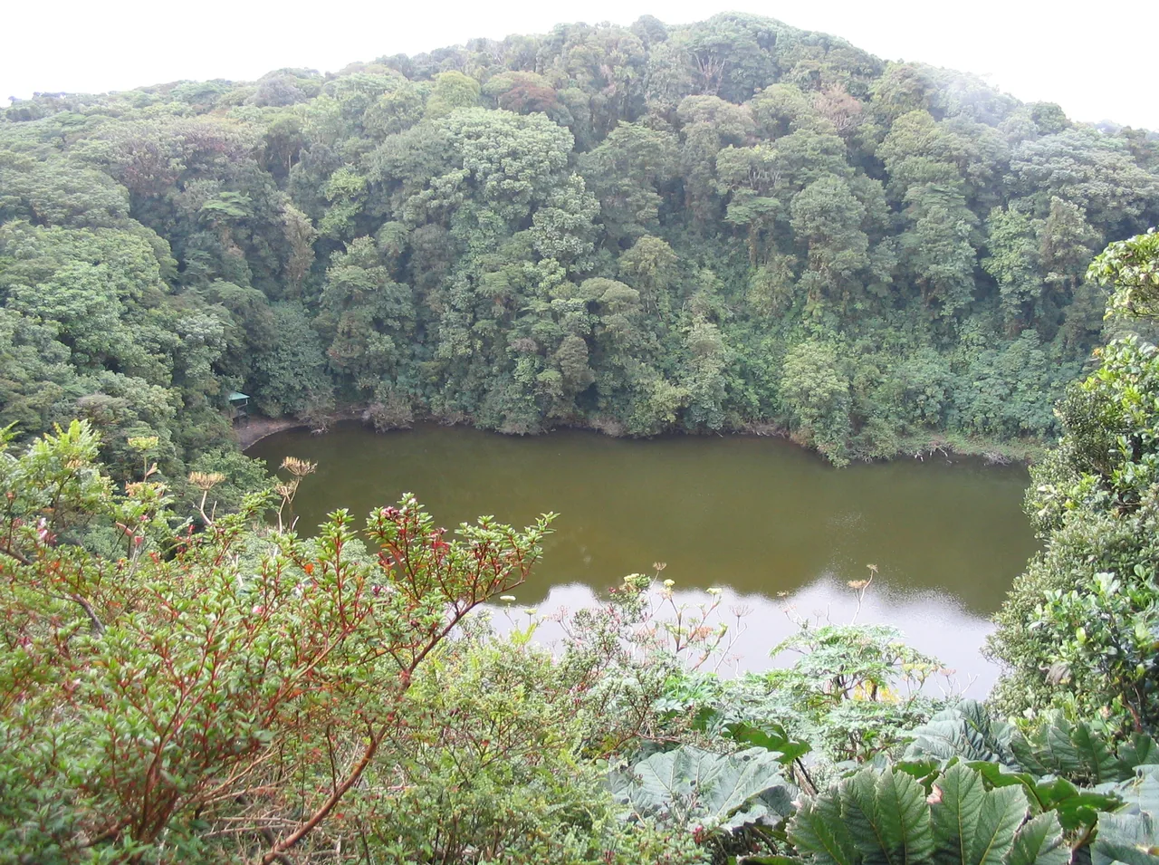 Barva Volcano (Braulio Carrillo National Park)