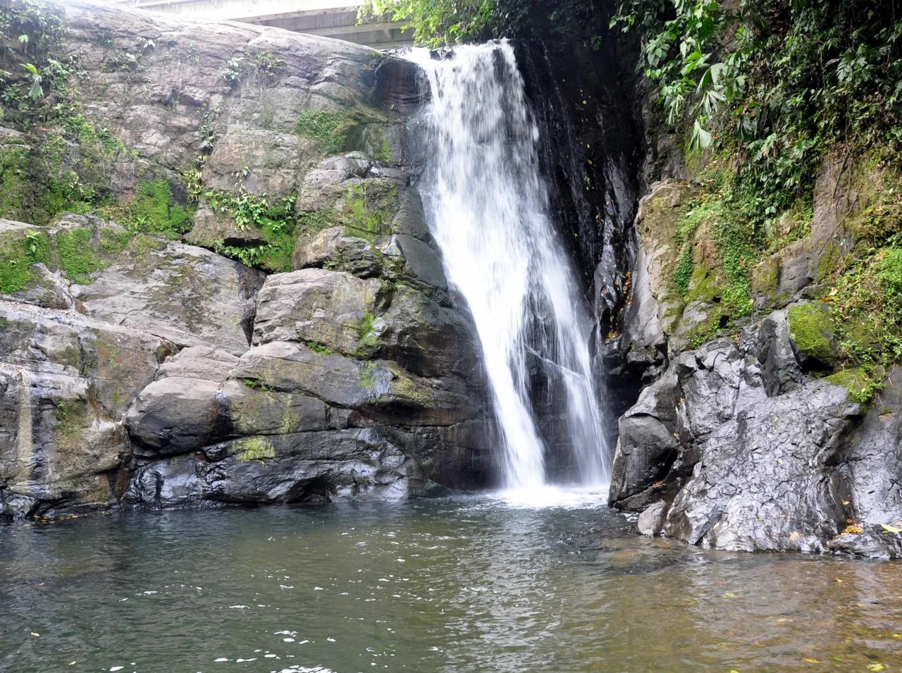 Bribri waterfall over dark rocks and a pool surrounded by vegetation.