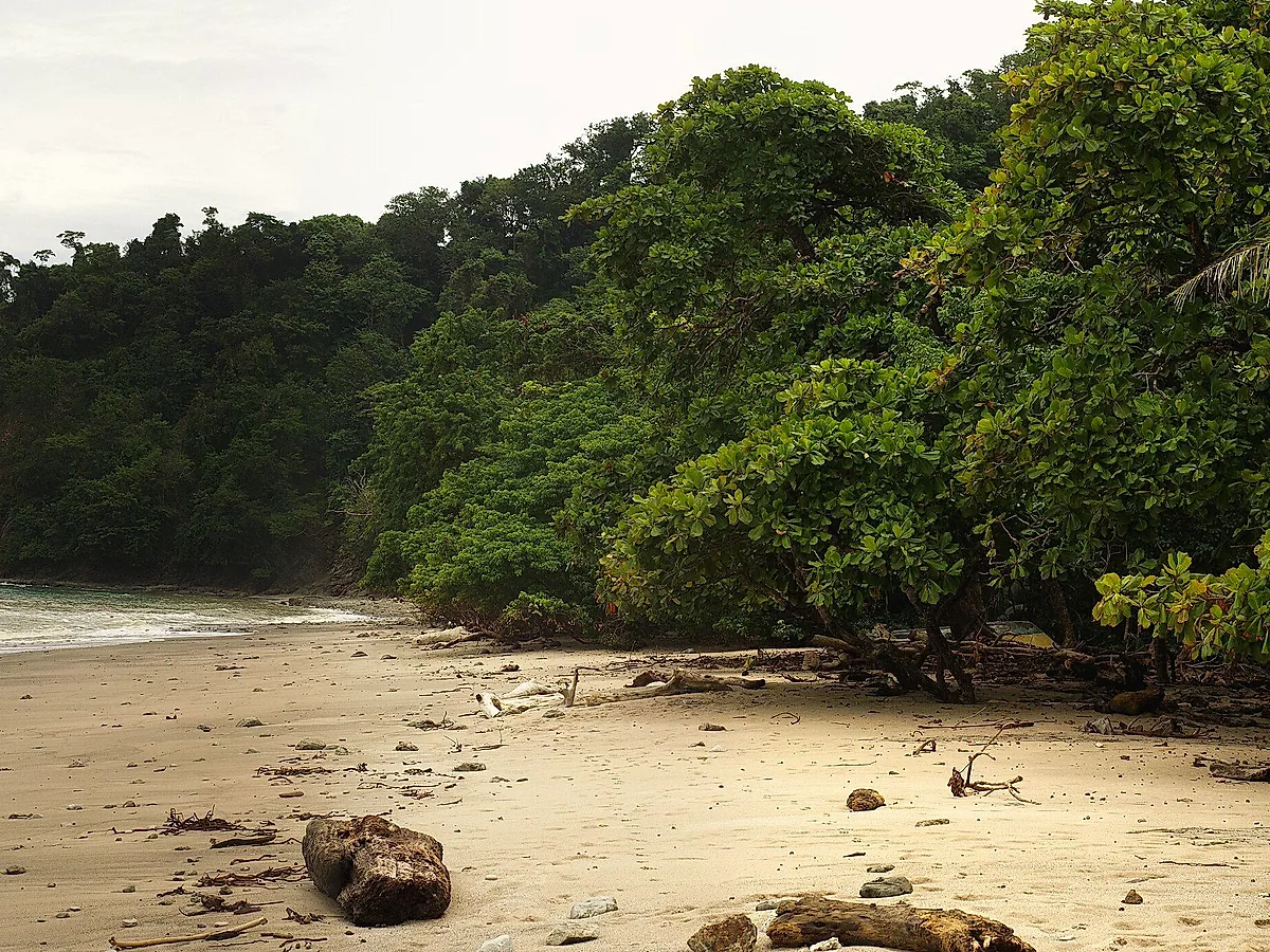 Cabo Blanco Absolute Nature Reserve