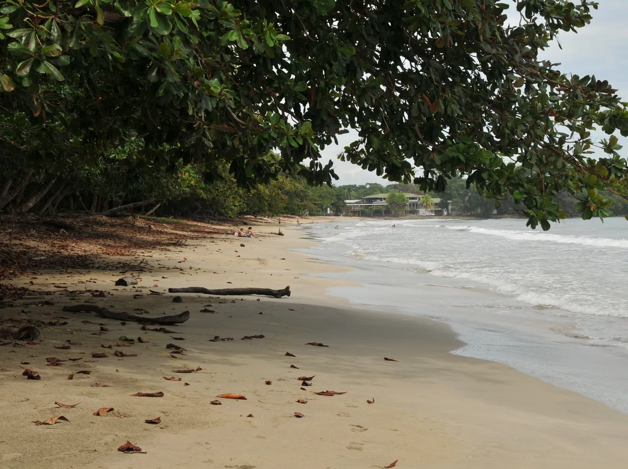 Playa Blanca–Punta Cahuita–Puerto Vargas coastal trail