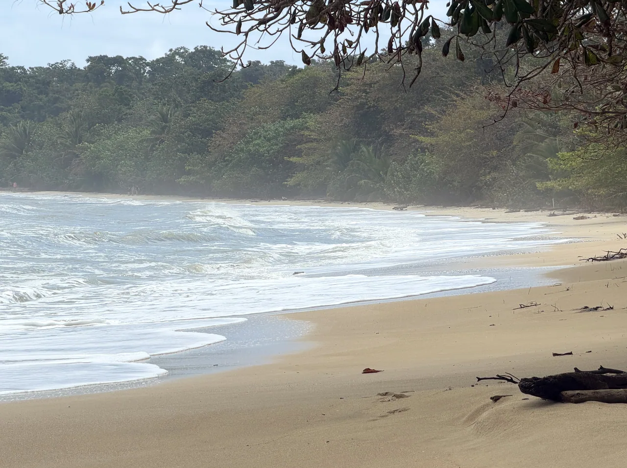 Waves on a pale sandy beach beside the forest in Cahuita National Park.