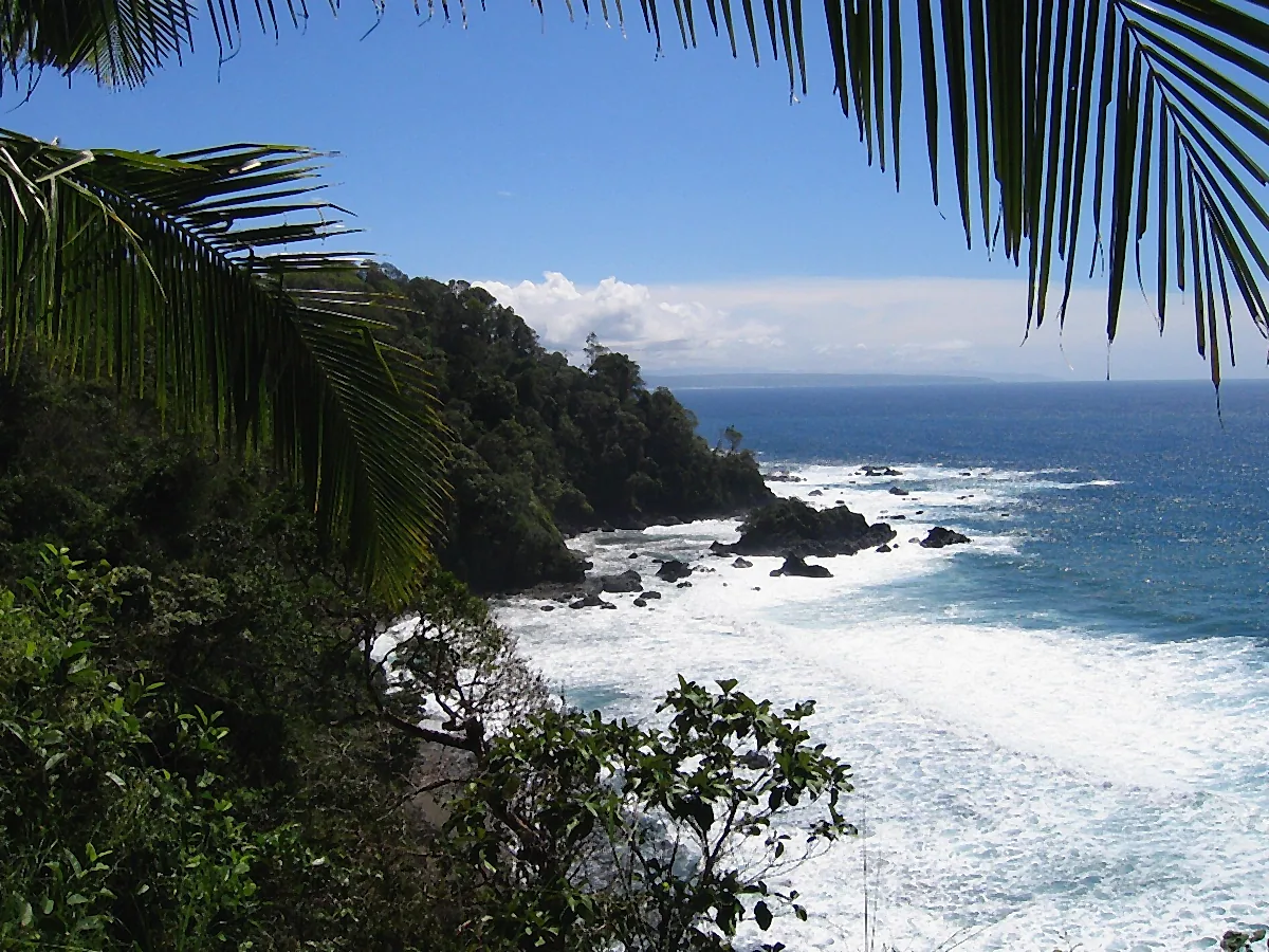 Caño Island (snorkelling)