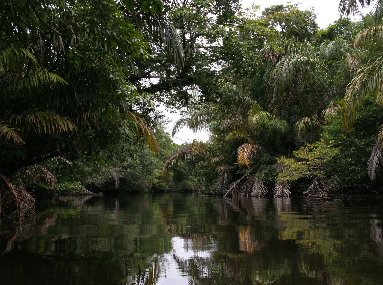 Caño Palma