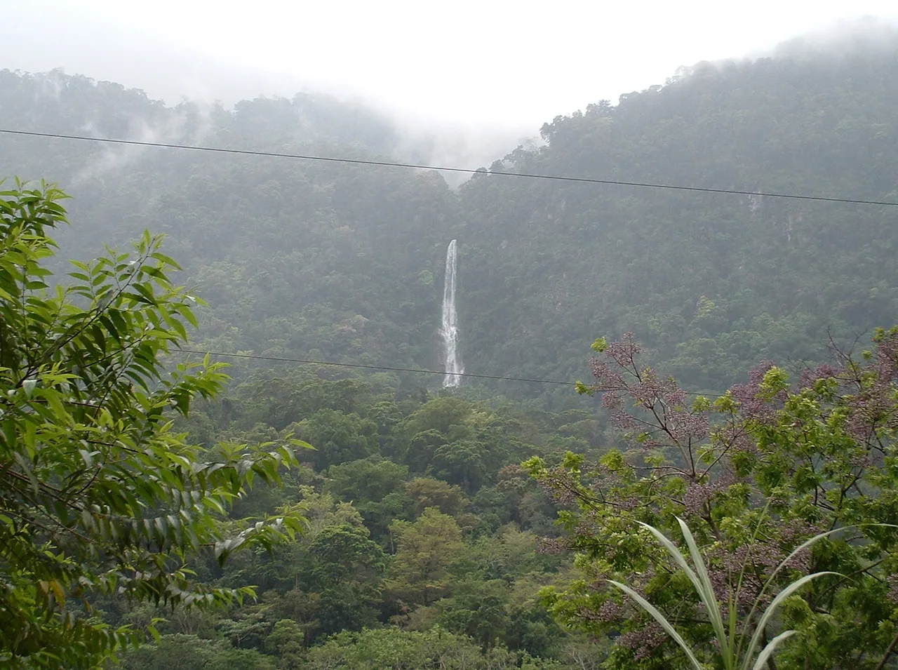 White waterfall on a wooded hillside amid mist and vegetation.
