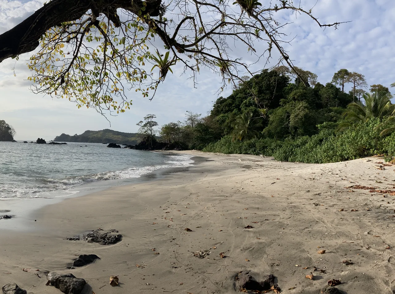 A sandy, rocky cove surrounded by forest on the coast of Cerro Hoya National Park.