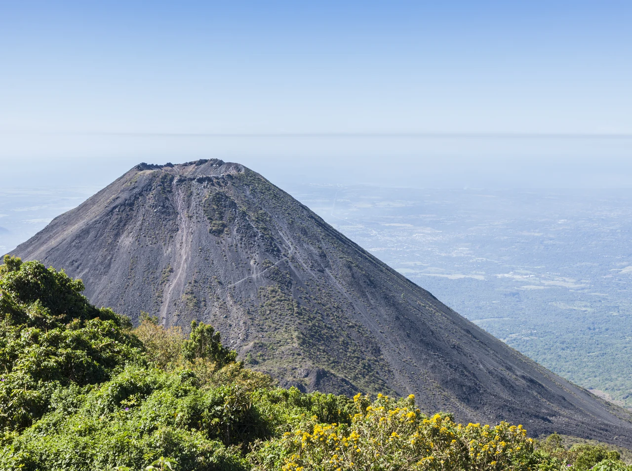 Cono del volcán Izalco visto desde Cerro Verde, con vegetación en primer plano.