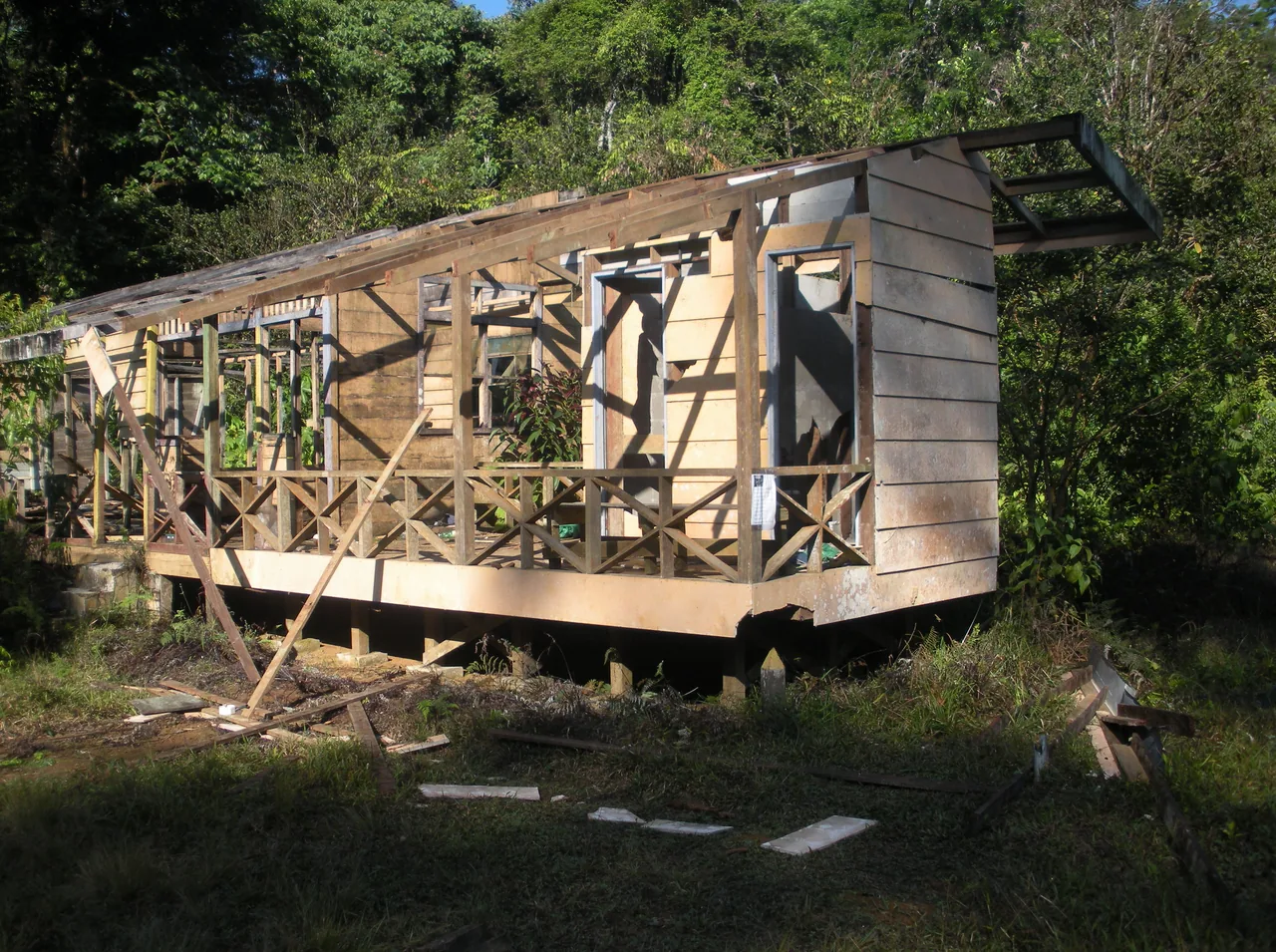 Weathered wooden structure of the old Los Patos ranger station surrounded by rainforest.