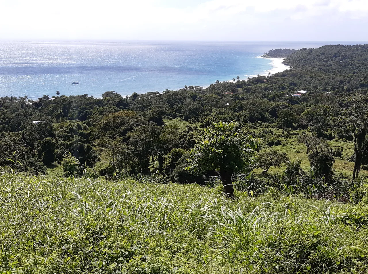 Panoramic view of a wooded island and a curving beach beside the blue sea.