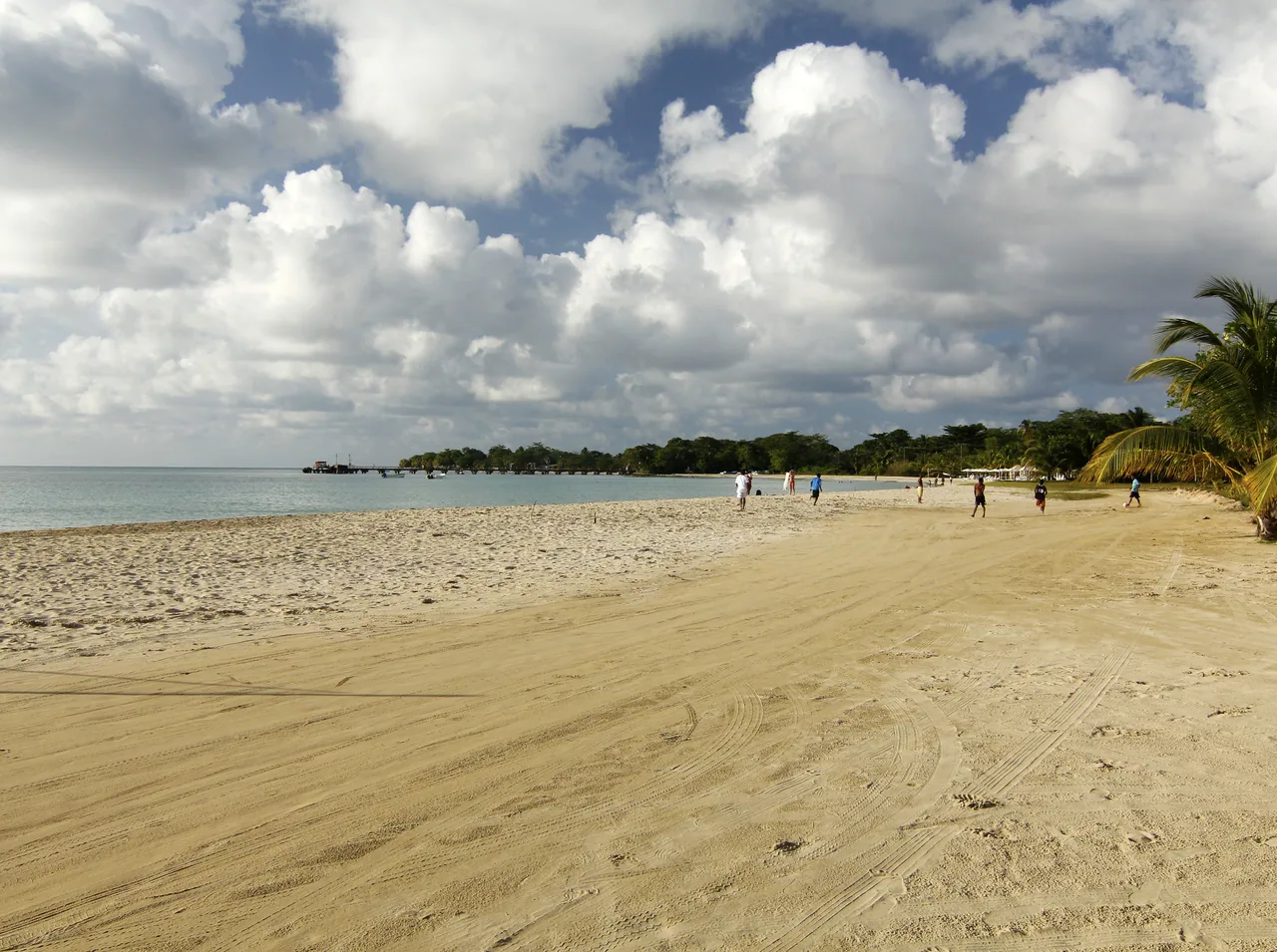 Pale sandy beach with a palm tree, turquoise water and large white clouds.