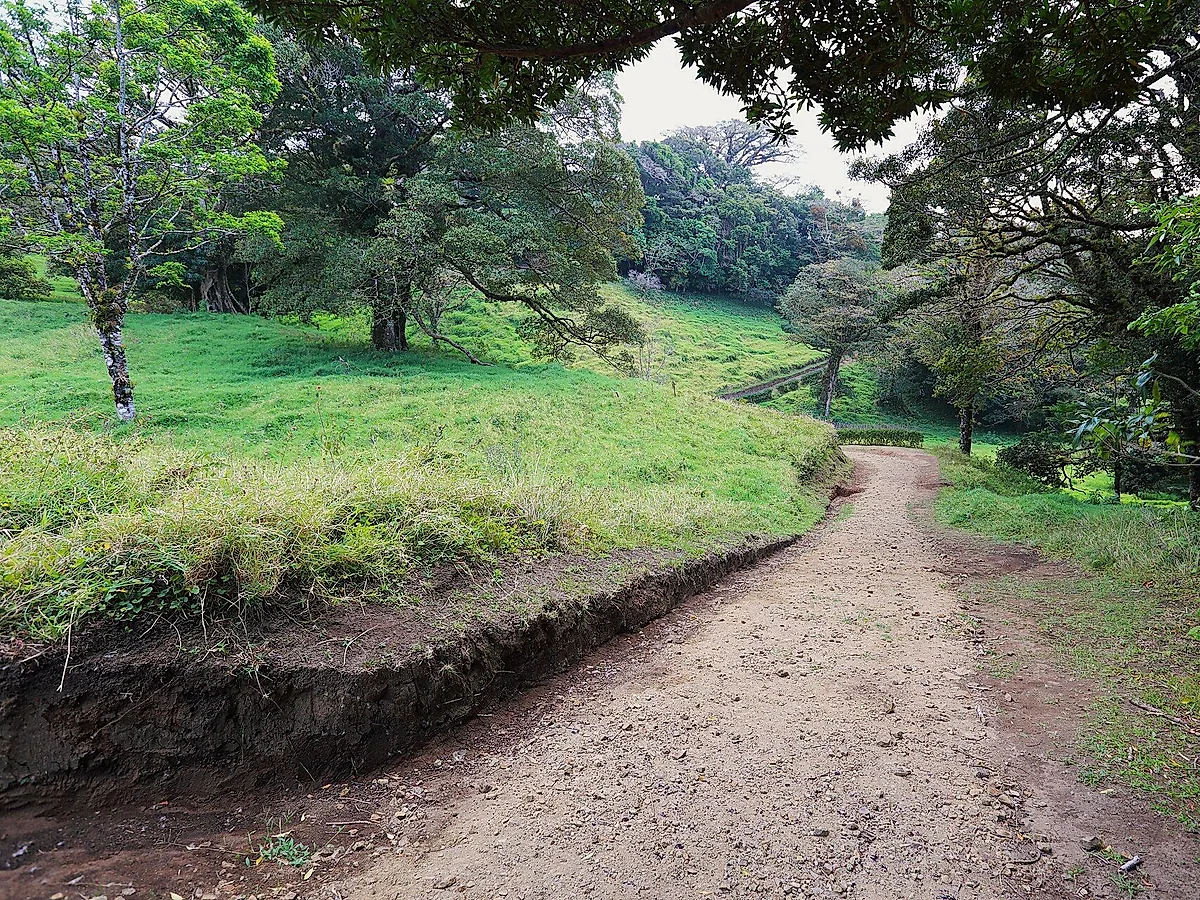 Curi-Cancha Reserve