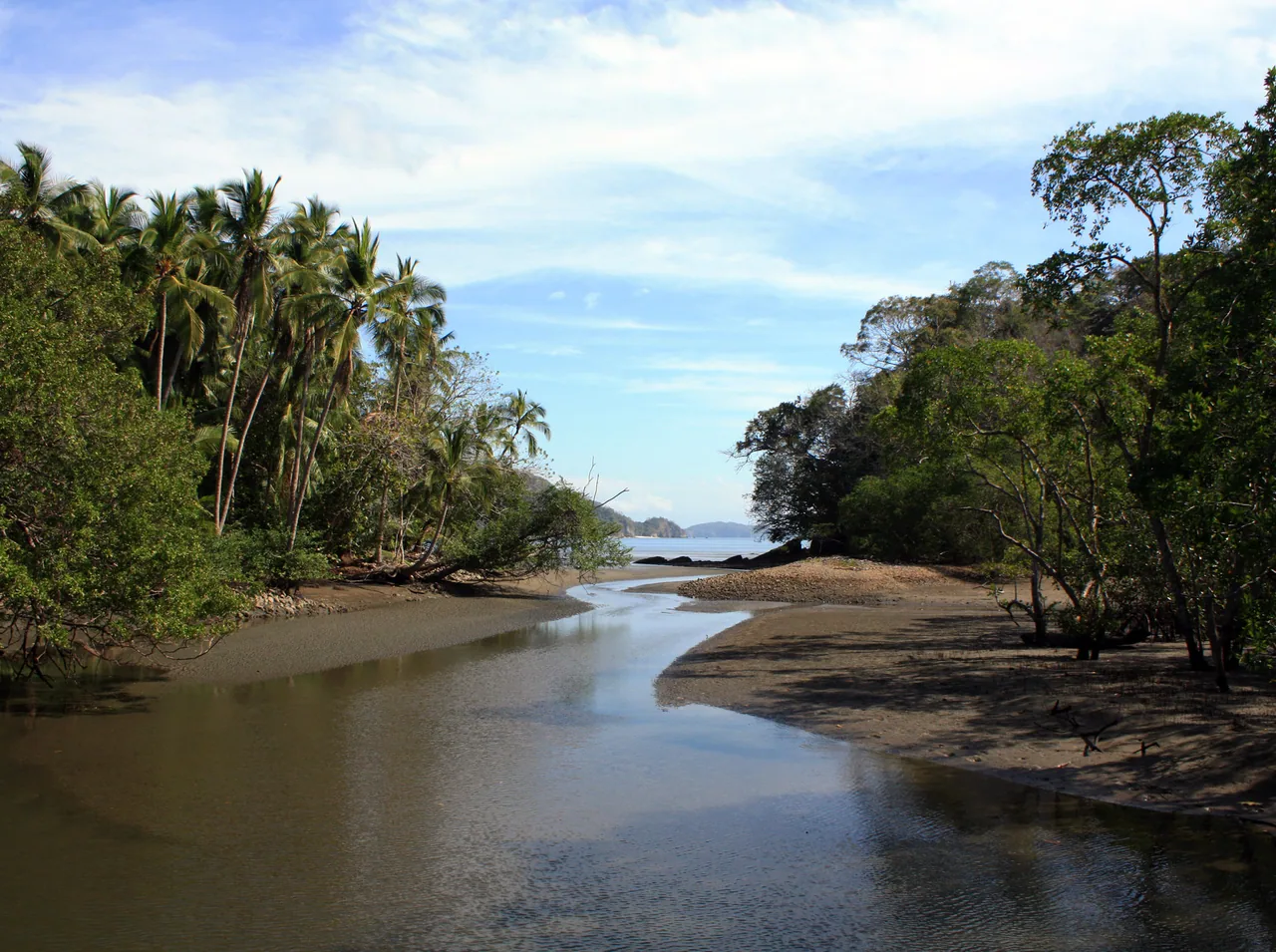 Estuary among palm trees in Curú Wildlife Refuge.