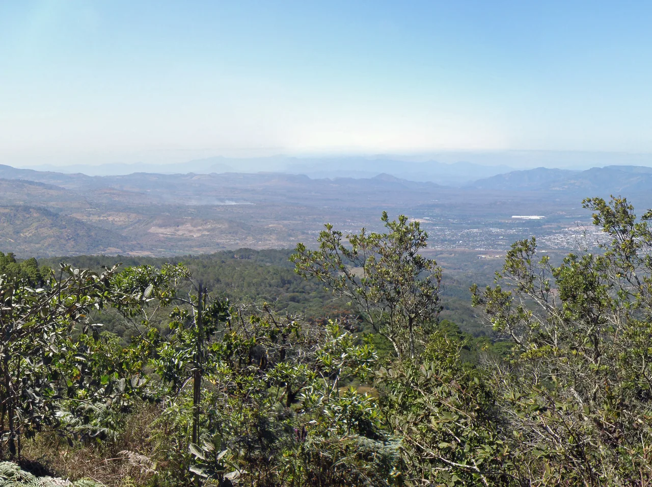 Reserva Natural Tisey-La Estanzuela