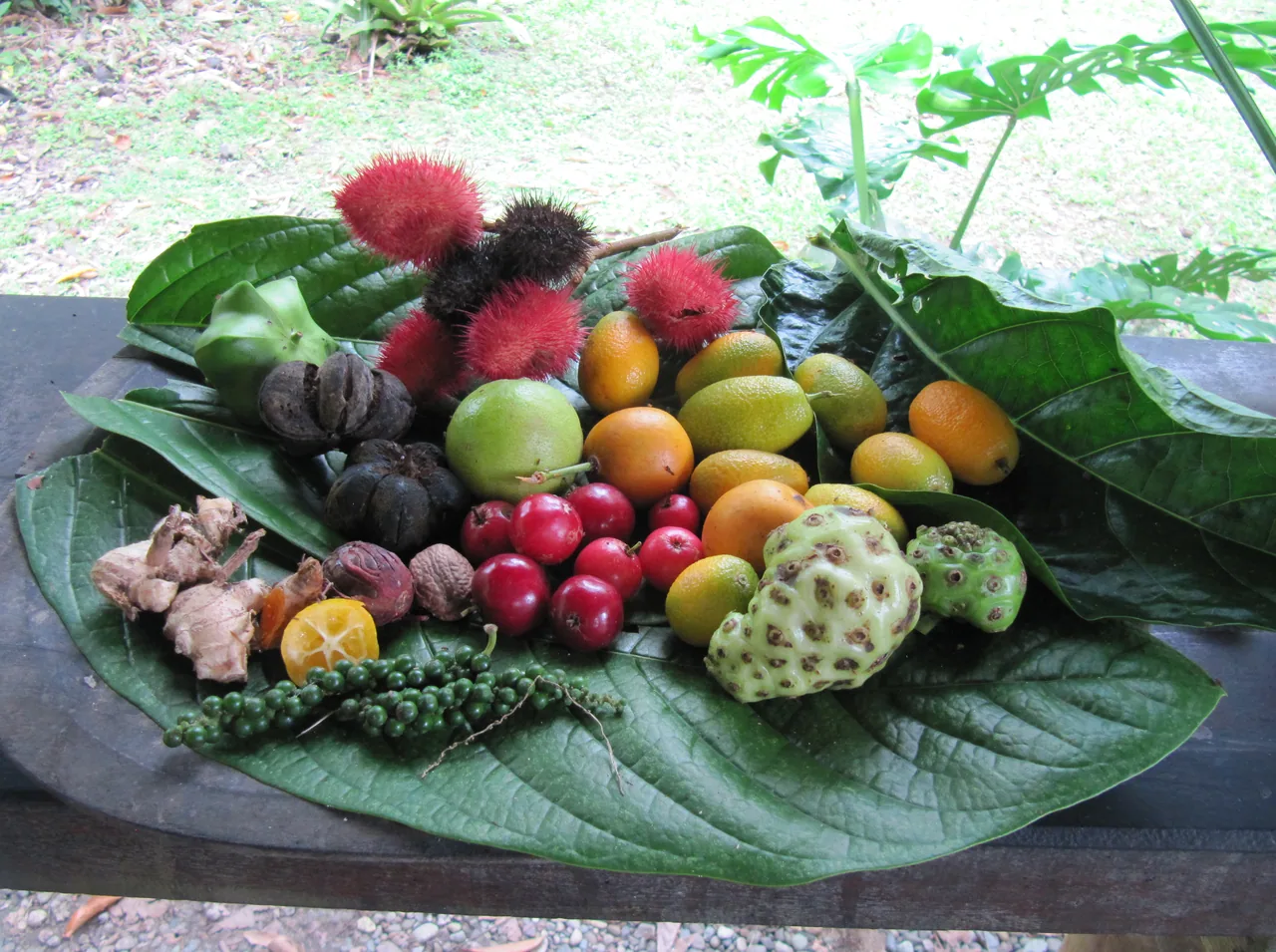 Frutas de distintos colores dispuestas sobre hojas grandes en Finca La Isla.