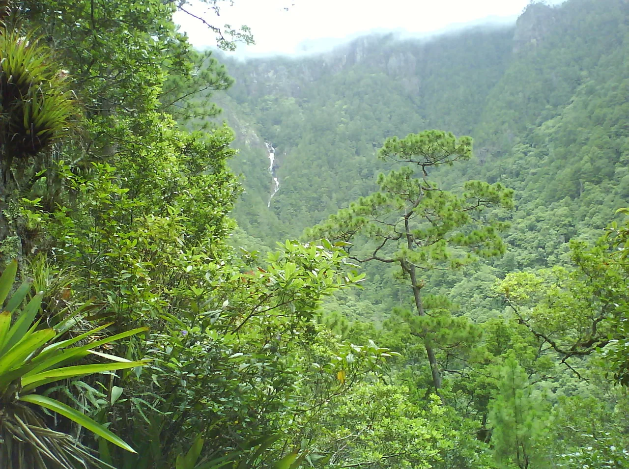 Celaque Mountain National Park