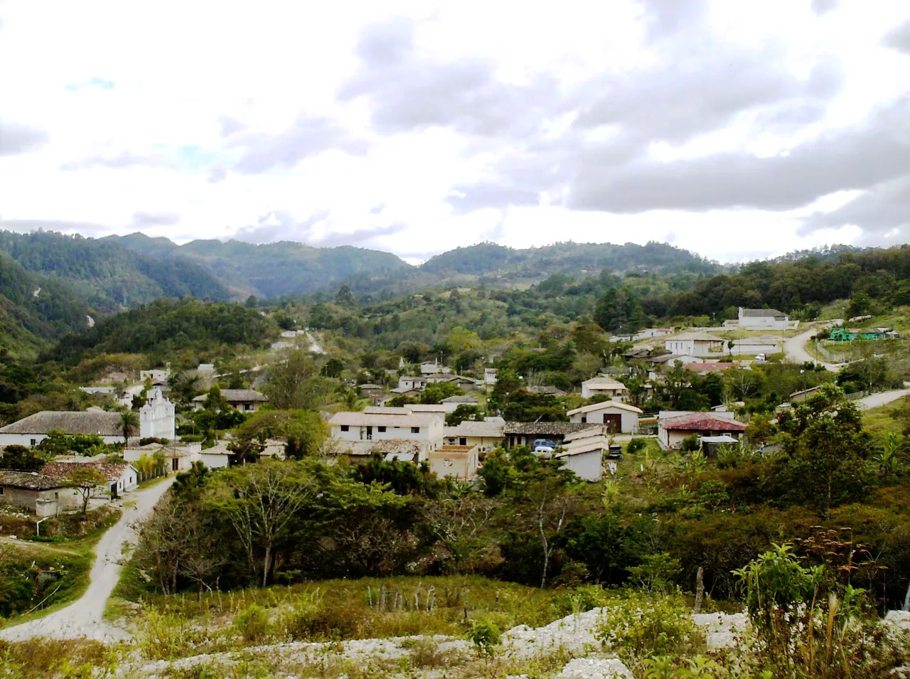 Tile-roofed houses among trees in a valley surrounded by green mountains.