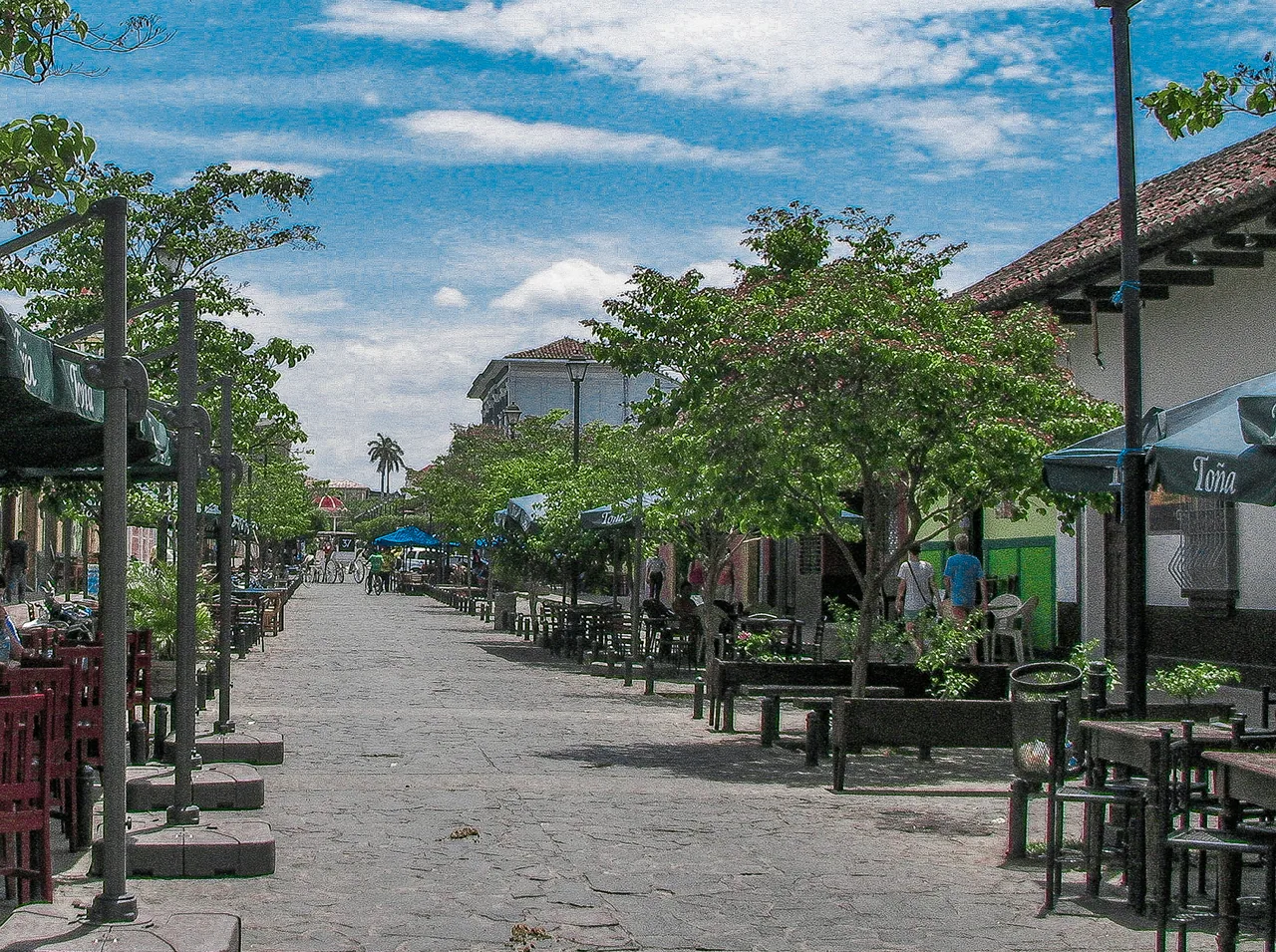 Terraces with umbrellas and trees beside the facades on La Calzada.