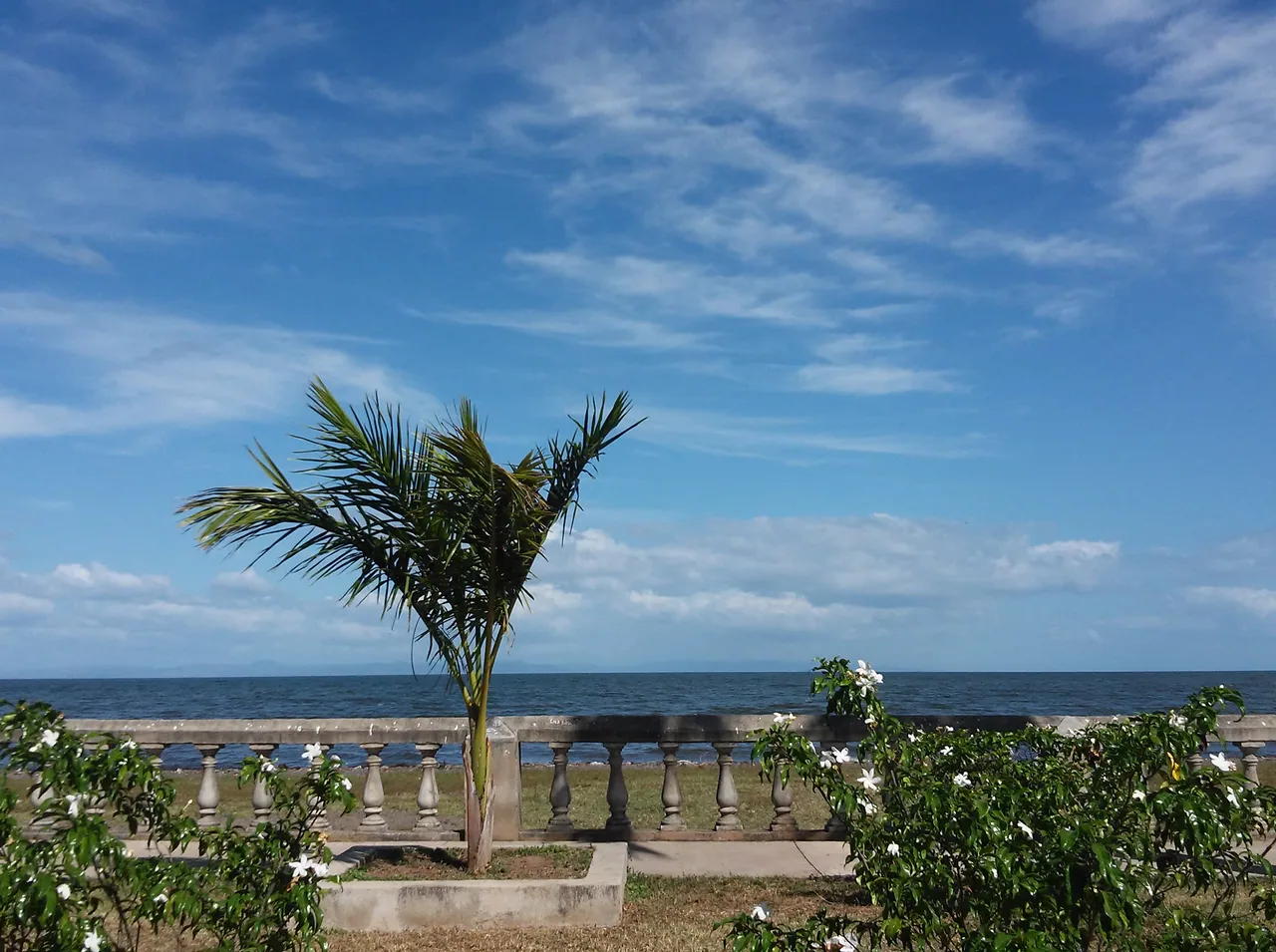 Blue lake water behind a palm tree and the balustrade of the lakeside promenade.