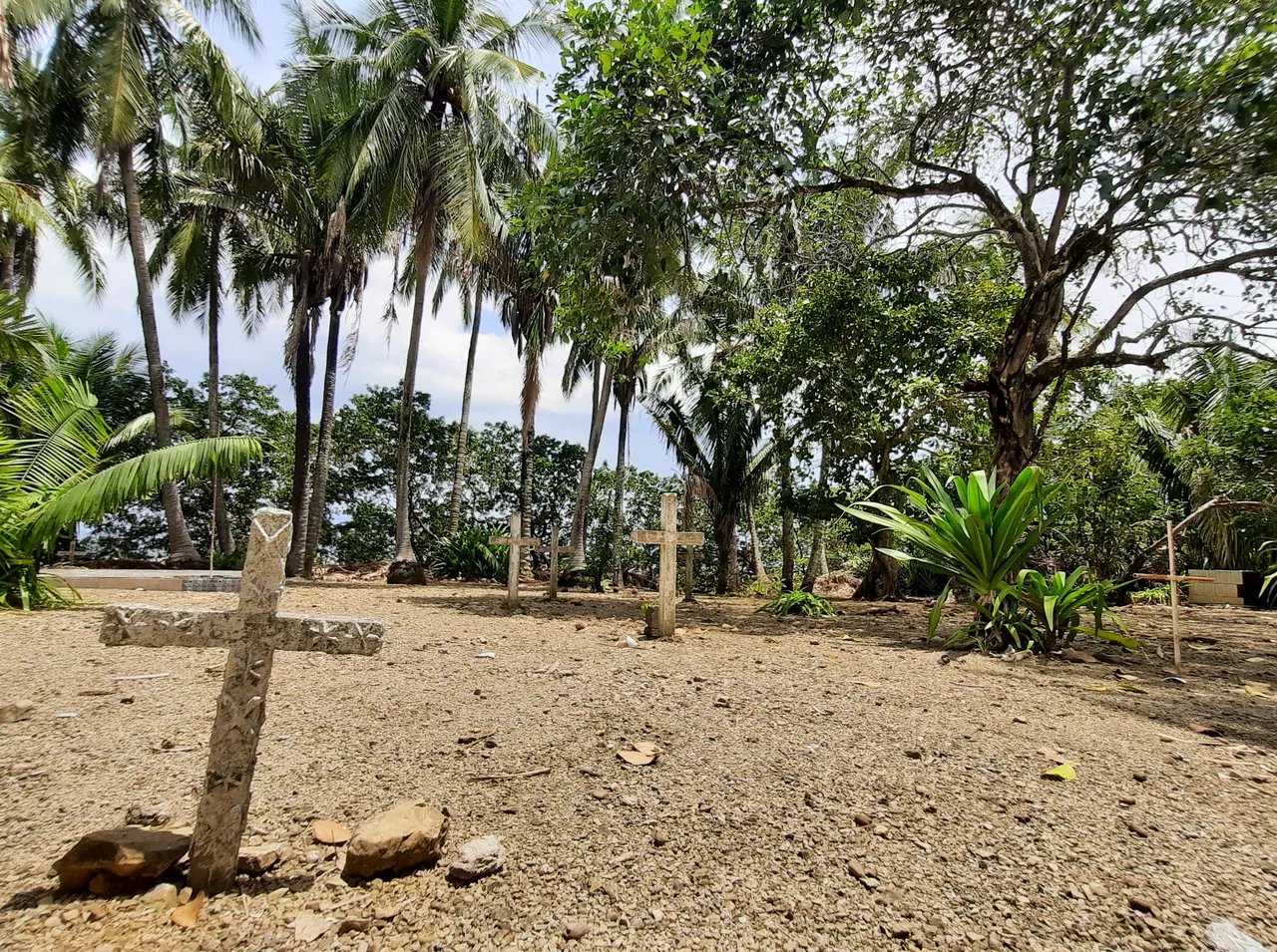 Crosses among palm trees in the Isla Cabuya cemetery.