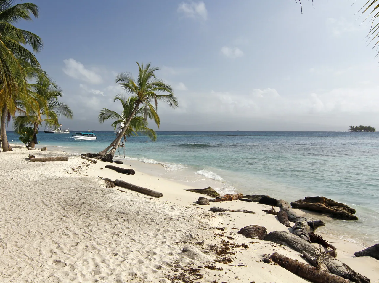 A leaning palm tree, logs and white sand beside turquoise water on Isla Diablo, Guna Yala.