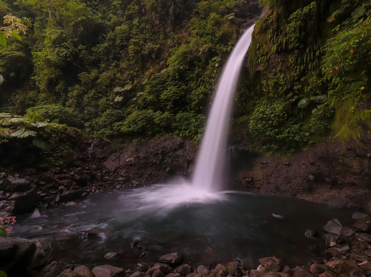 Waterfall dropping into a pool surrounded by rocks and vegetation.