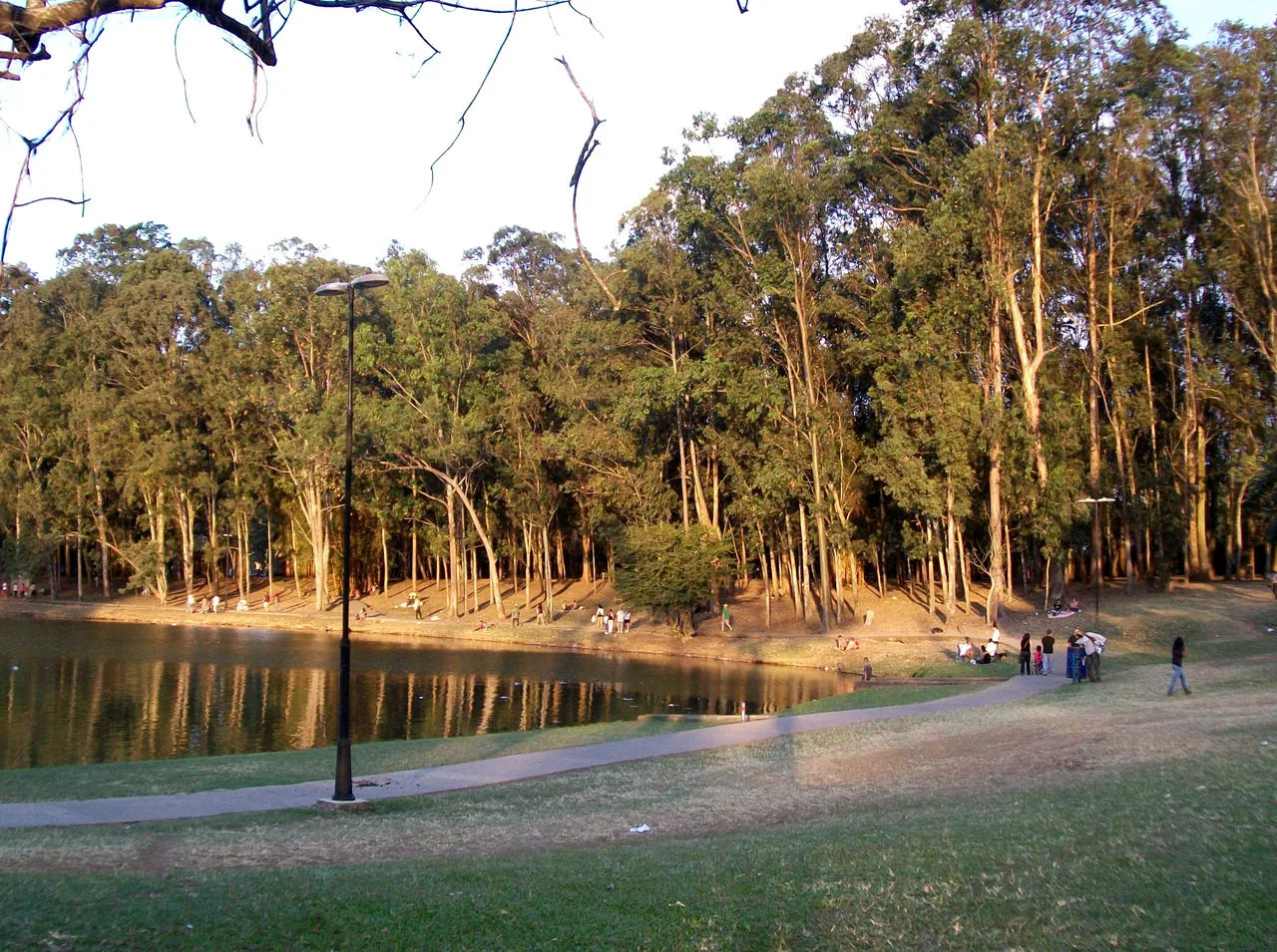 Lake and woodland in La Sabana Park, San José.