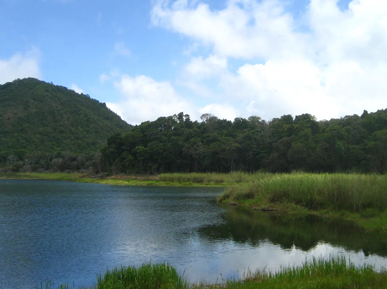 Agua y vegetación en las Lagunas de Volcán.
