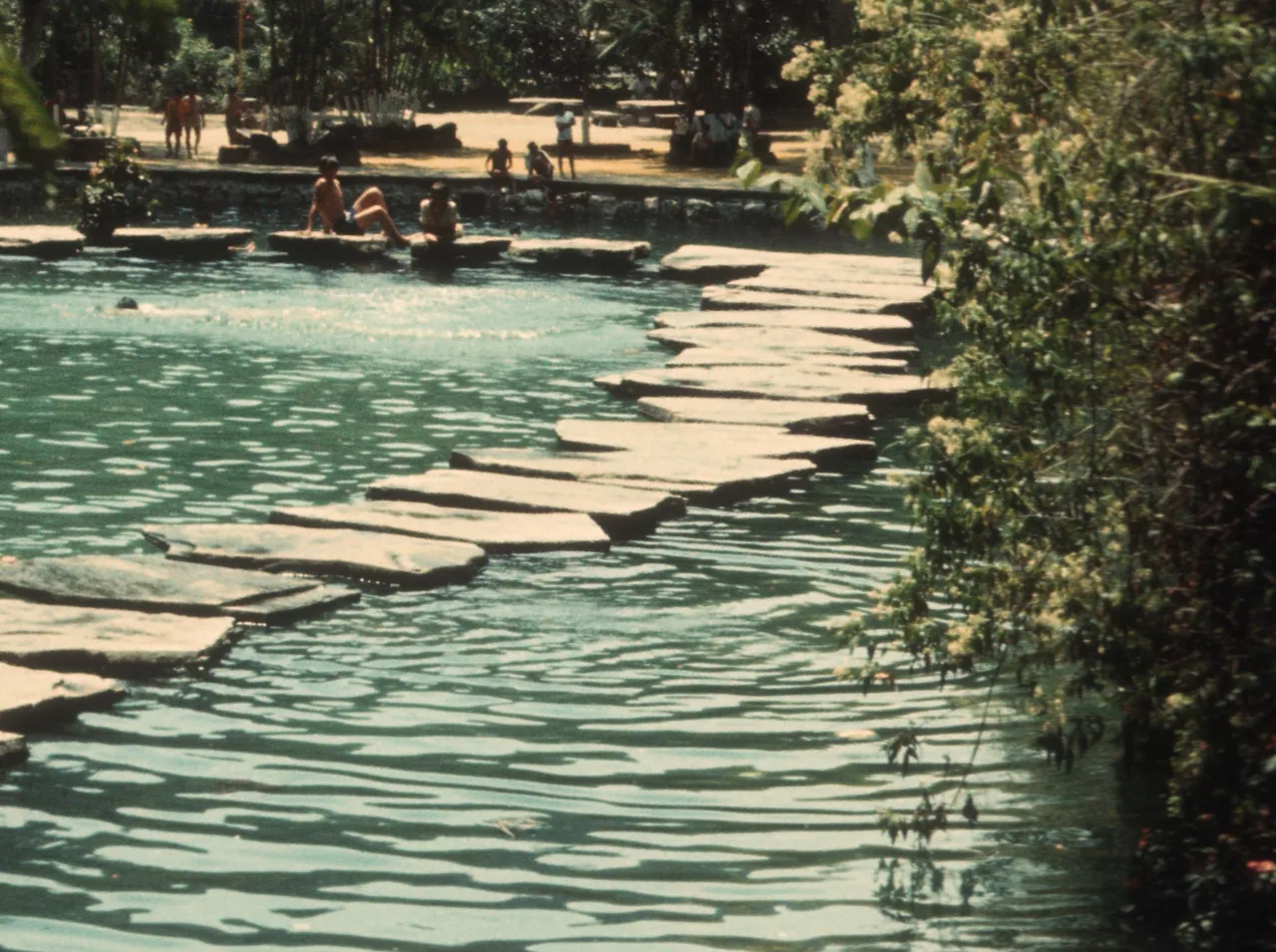 Stone stepping path across a pool amid greenery at Los Chorros.
