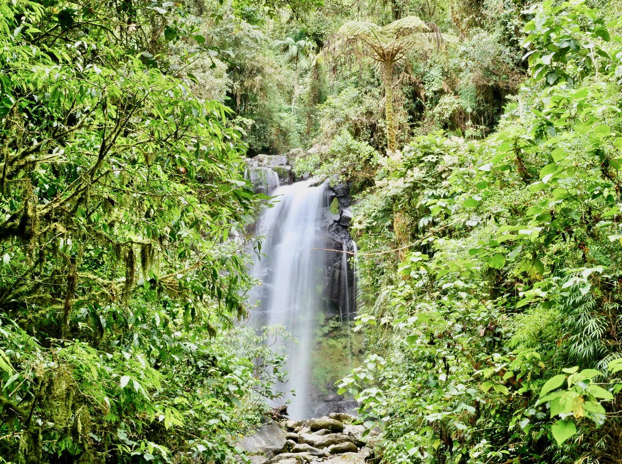 Una de las cascadas de Lost Waterfalls, entre la vegetación de Boquete.