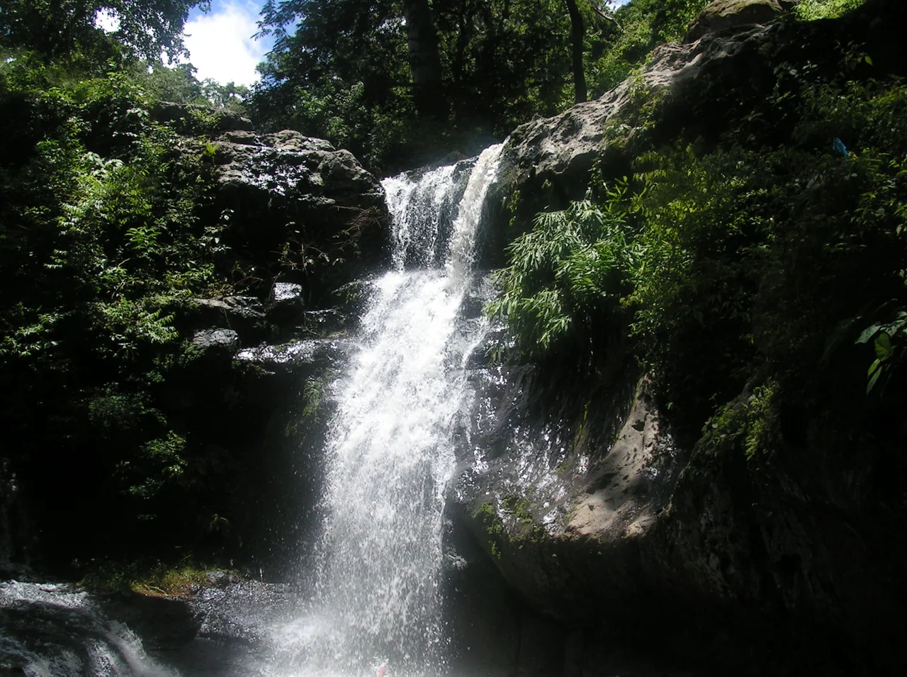 Cascada blanca entre rocas oscuras y vegetación densa.
